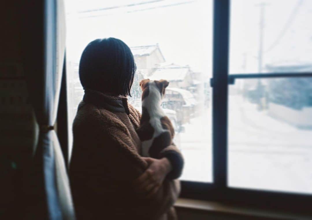 木竜麻生さんのインスタグラム写真 - (木竜麻生Instagram)1月22日 6時11分 - kiryumai_official