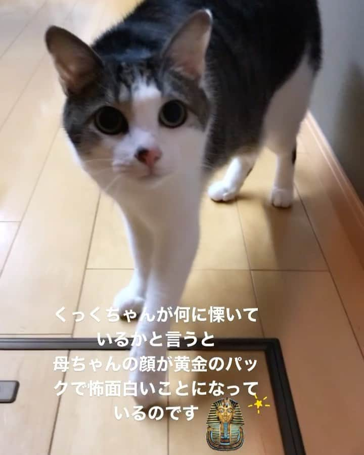 kuu−neruのインスタグラム