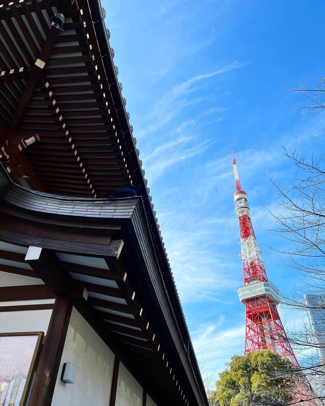 ステファニー・ヨーステンさんのインスタグラム写真 - (ステファニー・ヨーステンInstagram)「Beautiful day in Tokyo 🗼🇯🇵」1月22日 15時31分 - stefaniejoosten