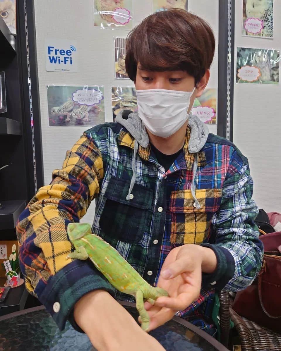 須貝駿貴さんのインスタグラム写真 - (須貝駿貴Instagram)「ふくろうカフェに行ったはずなのになぜか爬虫類諸氏とのふれあいが多かったときの写真です。🦎」1月22日 16時44分 - sugai_shunki