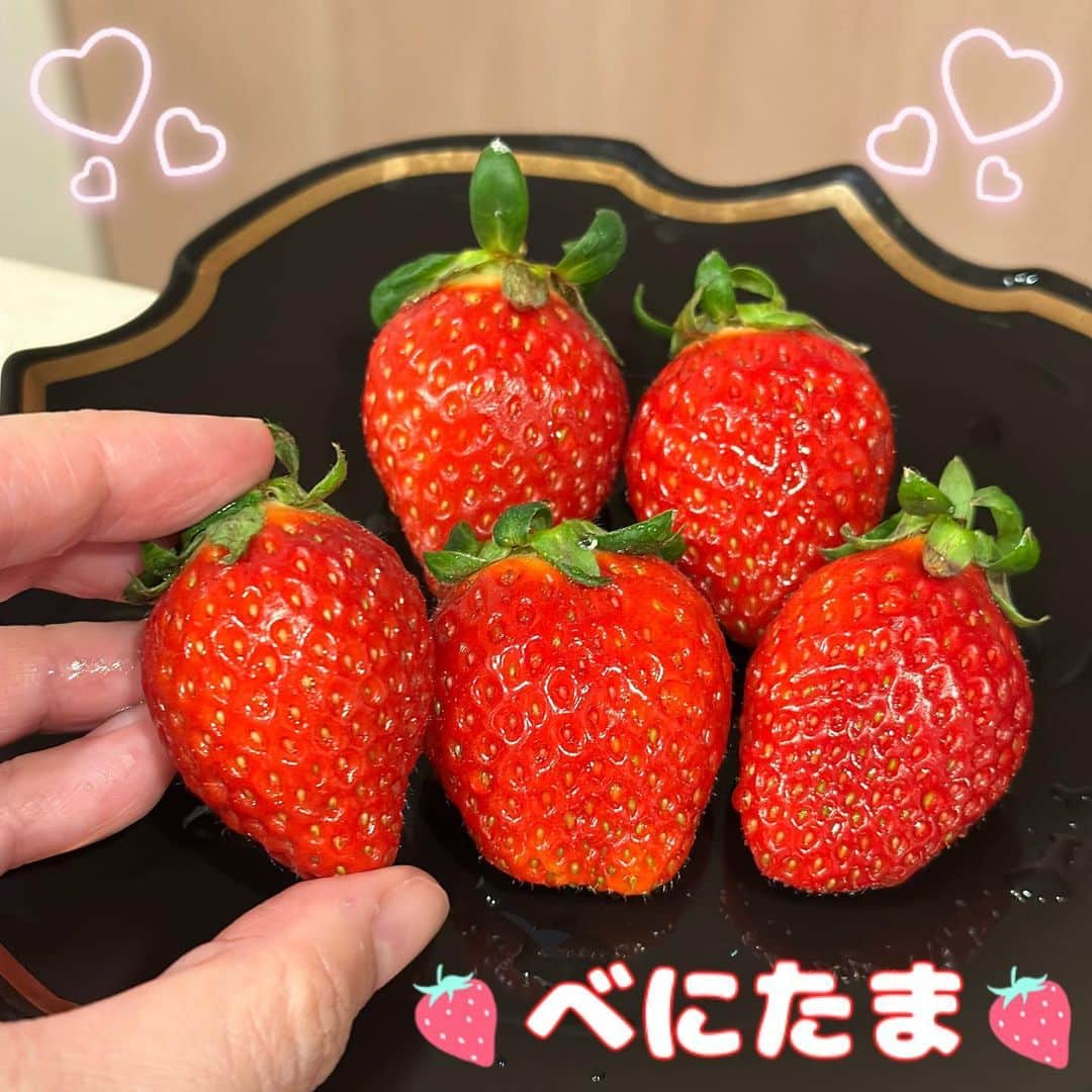 野山苺摘（グルメライター・グルメ探偵）のインスタグラム：「🍓いちごテロ🍓 ⇢ °•· ✿べにたま✿ ·•° ⁡ 今年も埼玉県の新品種いちご「べにたま」を購入！ ⁡ 美しいいちごの色から「紅」、「埼玉」や丸い果実のイメージから「玉」の2文字をあわせた「べにたま」という名前が選ばれました！ ⁡ 糖度が高く極良食味の「かおりん」と、早生で収量性に優れる「かおり野」を交配しています！ ⁡ 大粒で糖度が高く、さわやかな酸味も✨ ⁡ 🍓🍓🍓🍓🍓🍓🍓🍓🍓🍓🍓🍓🍓🍓🍓🍓 ⁡ #いちご #苺 #イチゴ #いちごテロ #ストロベリー #飯テロ #新品種いちご #べにたま #埼玉県 #strawberry #いちごライター #いちごあつめ #いちご狩り #いちご🍓 #埼玉 #フルーツ #いちご集め #埼玉グルメ #🍓 #いちご大好き #いちご好きな人と繋がりたい #いちごの想い出 #いちご摘み #いちごが好き過ぎて🍓 #グルメライター #いちご品種 #いちごの品種 #いちご図鑑 #イチゴ探偵　 ⁡ 🍓🍓🍓🍓🍓🍓🍓🍓🍓🍓🍓🍓🍓🍓🍓🍓」