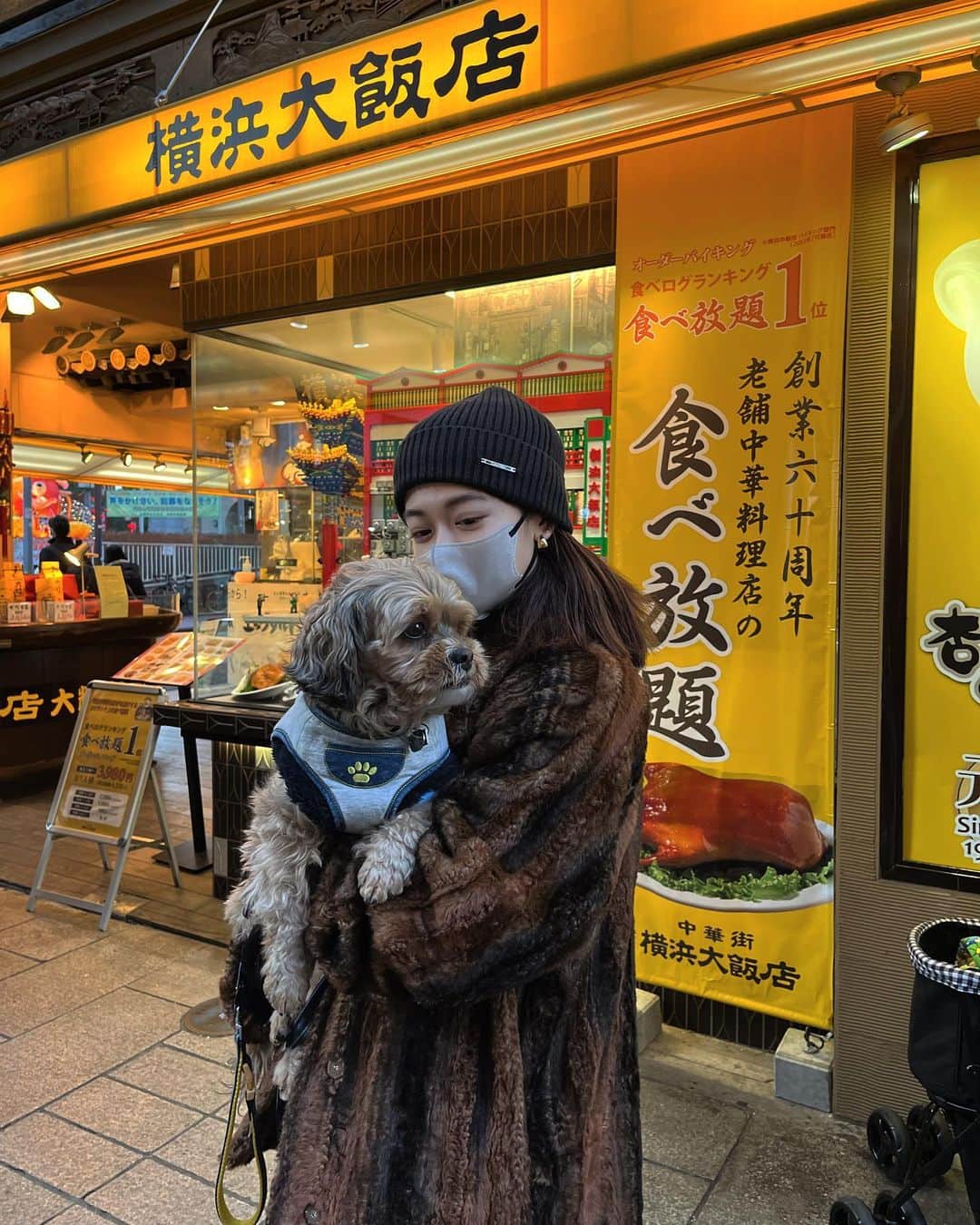 LISAのインスタグラム：「Family Day🐾 9キロのウッディ抱っこして少し歩いただけで筋肉痛🤣 ウッディは実家の子なのでうちの子はお留守番です。」