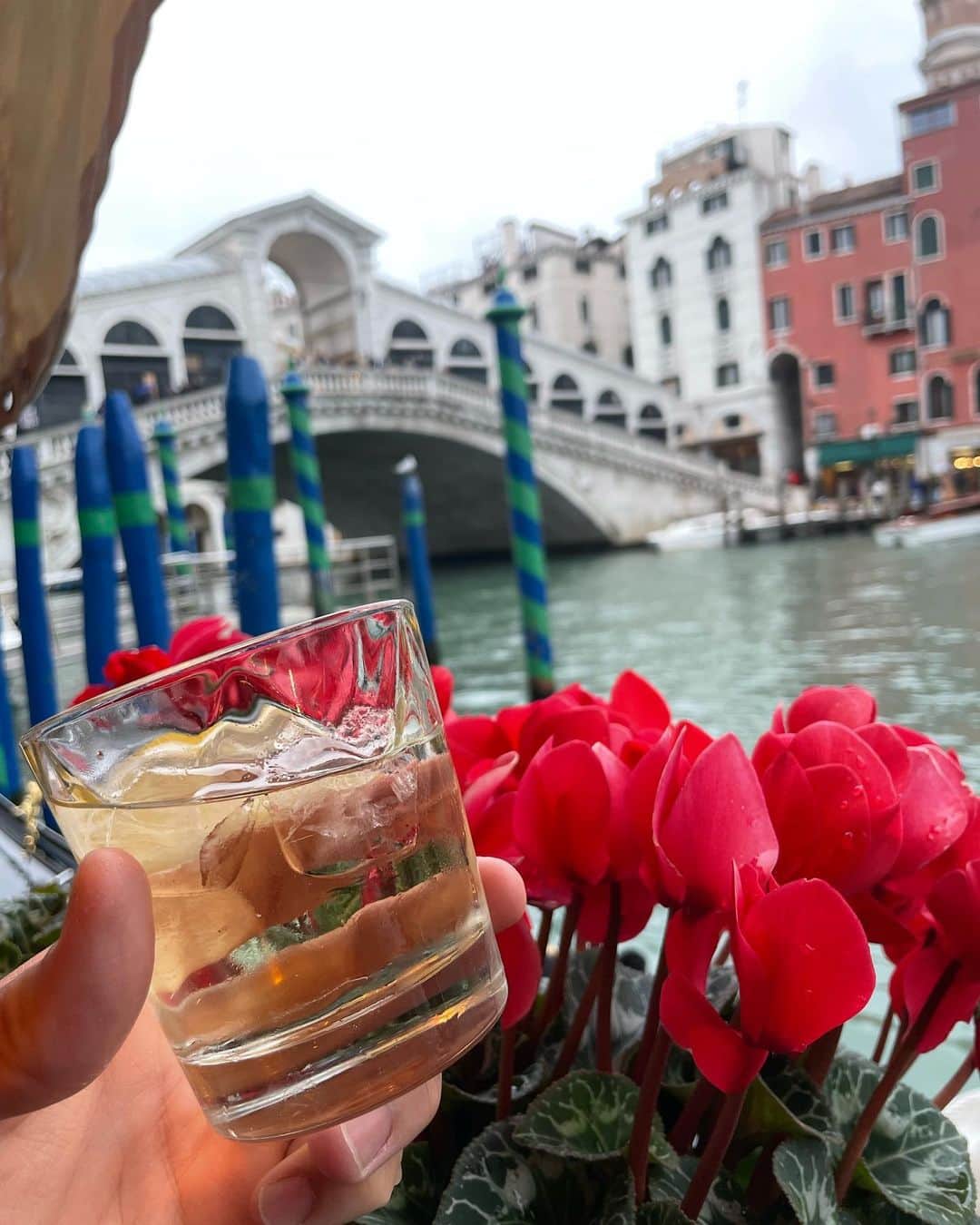 たまたまこさんのインスタグラム写真 - (たまたまこInstagram)「〜7日目〜  ヴェネツィア2日目午後にして、初めて本島を観光w 有名なヴェッキオ橋を眺めながら15時のおやつもまたパスタw 17軒目は【RISTRANTE CAFFE  SARACENO】でポルチーニを🍄ムール貝の酒蒸しも美味しかったよ🐚  パスタ食べまくりでお腹は空いてないからいろいろ散歩、そして18軒目は【ARCICCHETTI BAKARO VENEZIA】という人気のバッカロに🍸 バッカロは立ち飲みバー？的な感じでとにかく安い！ ここではみんなが飲んでるアペロールを甘いの承知で注文🧡  そして19軒目は昨夜、水上バスから見えためちゃくちゃオシャレなレストラン【VENIS M'ART】に蝋燭が灯してあって、すごい雰囲気が良かったんだけどテラスは食事禁止で飲み物しか提供できないそう。 酒が飲めるならまぁいいかと、注文したオレンジワイン！ 甘いと思いきや全然甘くなくて、さっぱりしてすごい美味しかった🤗  20軒目は【TRATTORIA PONTINI】でヴェネツィア最後のディナー🍷 さっきは混んでたけど、VENIS M'ARTで飲んでる間に少し落ち着いててすぐに入れた^_^ パスタにビステッカに美味しいものいっぱい食べれた🍝🥩」1月22日 19時23分 - tamarikomari