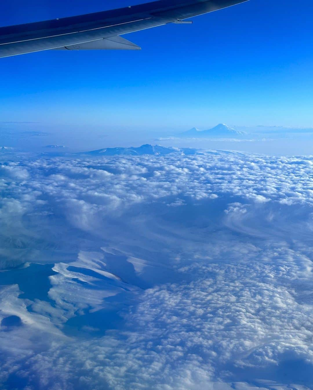 東京DANDYさんのインスタグラム写真 - (東京DANDYInstagram)「Happy Lunar New Year! I decided to celebrate the new year again while flying home from Europe, somewhere over Chinese cities populated by millions of people I'll never meet (Japan celebrated the lunar new year until the Meiji Restoration when it began to embrace all things Western.) I've been back almost a week already, but my head is still somewhere up in the clouds, jet lag malaise and seasonal hermit tendencies.   #lunarnewyear #chinesenewyear」1月22日 19時46分 - tokyodandy