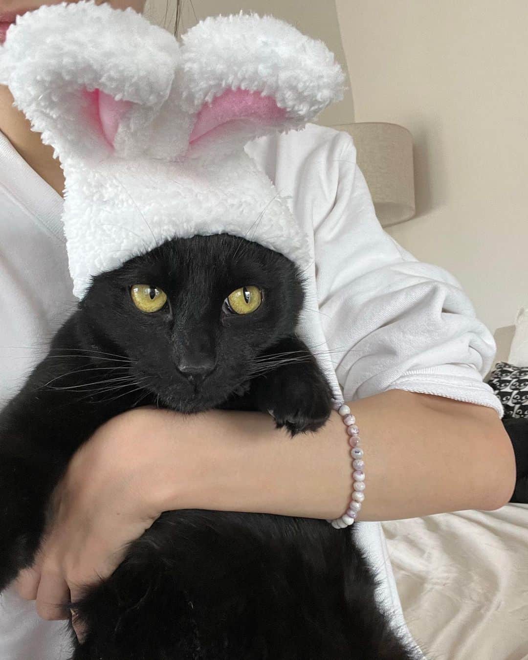 飯島望未のインスタグラム：「ごめんて😂 一回だけやってみたかったの🥹🐰 もうしません笑   おこなツキと寝顔がぶちゃいくで可愛いヨル  #ツキとヨル」