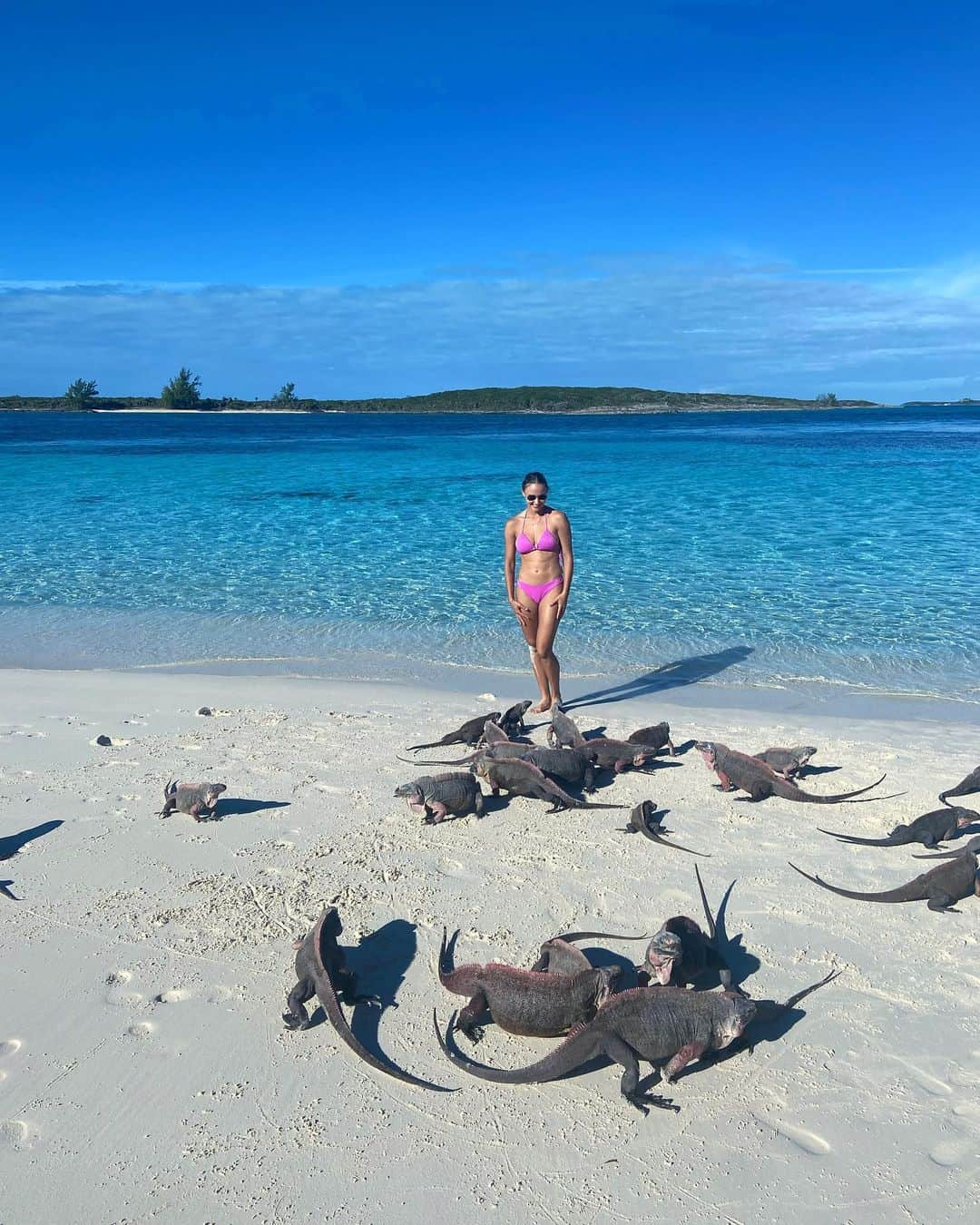 Jessica sayonara maierさんのインスタグラム写真 - (Jessica sayonara maierInstagram)「exuma 🇧🇸🫶🏼🐠」1月22日 23時12分 - sayonaramaier