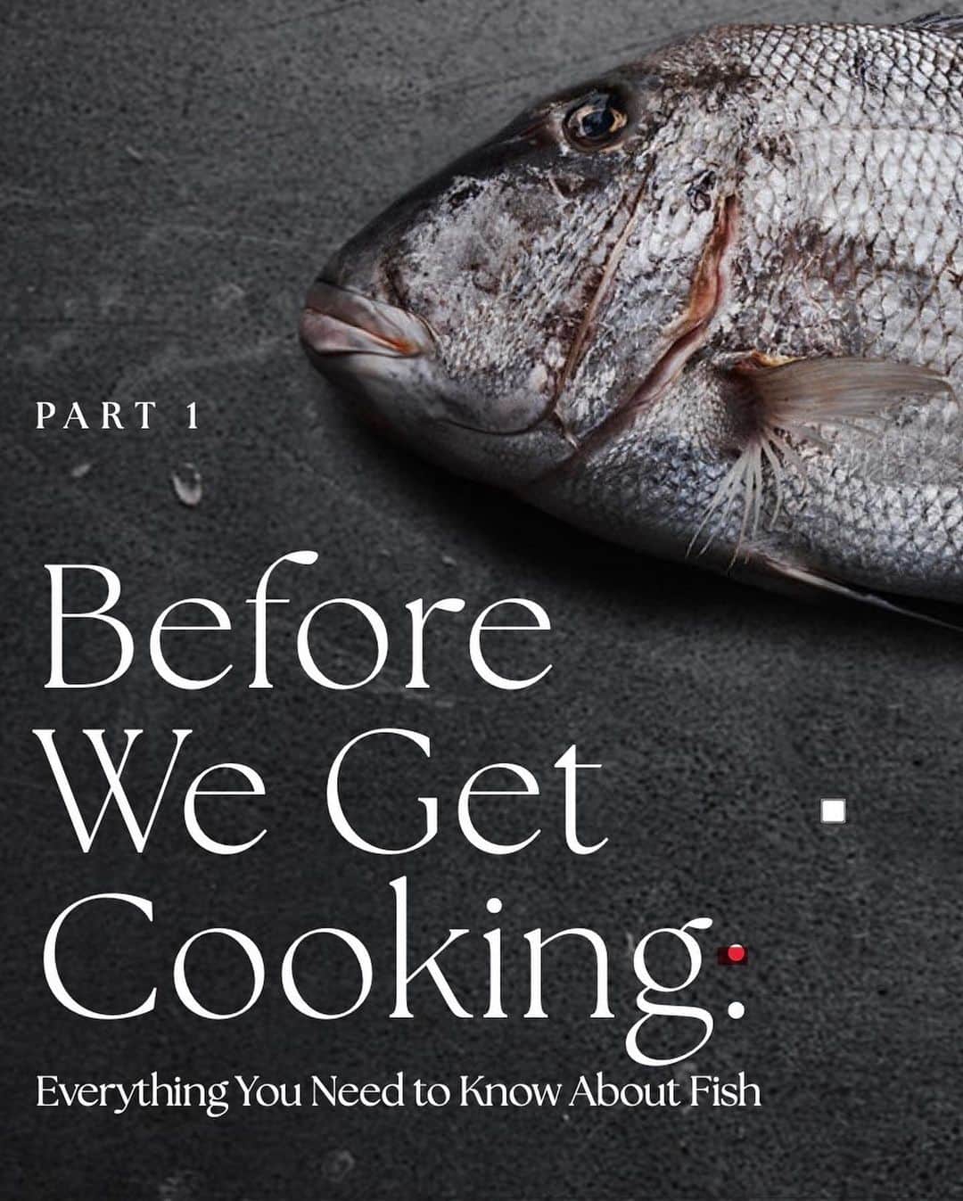 ヴァレンティン・トーマスさんのインスタグラム写真 - (ヴァレンティン・トーマスInstagram)「I'm very excited to announce that my new cookbook ''GOOD CATCH - A Guide to Sustainable Fish and Seafood with Recipes from the World's Oceans'' is now available for pre-order via Amazon, Barnes & Noble, Books-A-Million, Bookshop and Indiebound via the link in my bio.  ⠀⠀⠀⠀⠀⠀⠀⠀⠀ In Good Catch, I share my love for the bounty of waters around the world, as well as my enthusiasm and expertise for cooking fish and seafood in a sustainable way. The recipes, inspired by my favorite fishing destinations, are organized by region, and include both classic and creative preparations, such as Grilled Clams with Butter, Garlic, and Parsley, a Seafood Boil, Snapper Panzanella with Grapefruit, and Fish Head Nachos. I also share simple skills you'll need to build a responsible repertoire of seafood recipes, provide tips for making the most eco-friendly choices, and discuss the best ways to prepare each and every type of fish, from raw dishes like ceviche to a baked whole fish. ⠀⠀⠀⠀⠀⠀⠀⠀⠀ Swipe to see a preview of the book!  #goodcatch #valentinethomas #sustainablefish #sustainableseafood #seafoodrecipes #fishrecipes #spearfishing」1月23日 0時13分 - valentinethomas