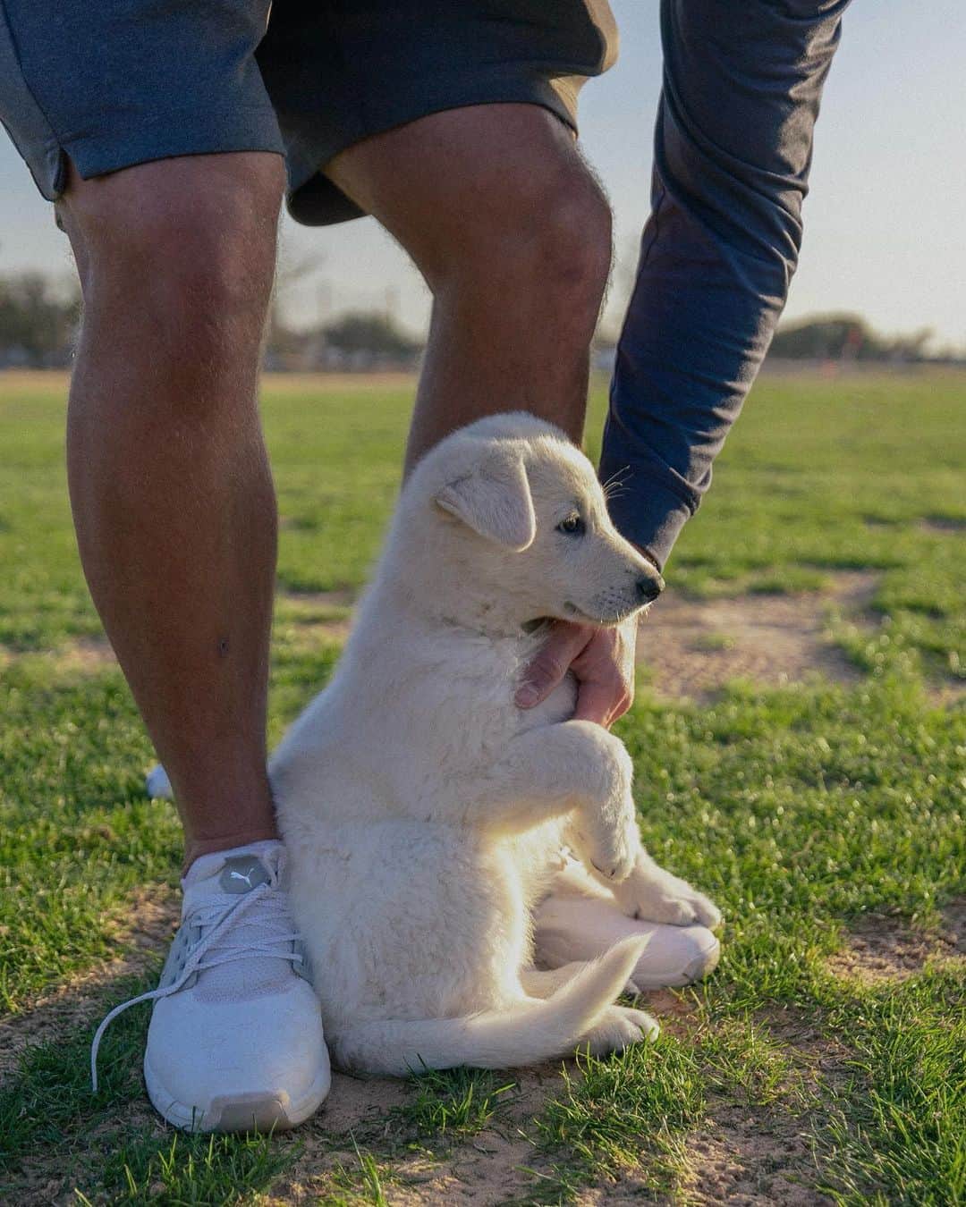 ブライソン・デチャムボーさんのインスタグラム写真 - (ブライソン・デチャムボーInstagram)「Range sessions with Bear.   Couldn’t keep my shoes tied around this little guy 😆」1月23日 2時35分 - brysondechambeau