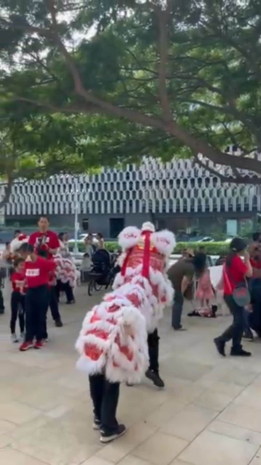 伊東美咲のインスタグラム：「1/22/2023  中国の春節、 旧正月を祝いハワイでも街中で獅子舞が舞い、 太鼓や銅鑼などが鳴り響いて賑わいをみせています。 少しずつ日常が戻って来ていることを嬉しく思います。 ハワイより新年の幸福を祈っております。  #Hawaii #春節2023 #ハワイの獅子舞 #旧正月 #Happynewyear」