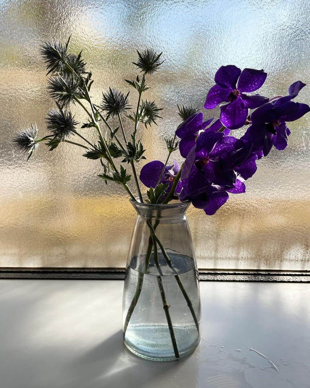 清浦夏実のインスタグラム：「1月のお花たち。  1枚目は青いコーディネート。トゲトゲと華やかな蘭の異素材な組み合わせ。  2枚目は水耕栽培中のチューリップ。あたたかい部屋へ移動させた。よく育っていて可愛い。  3枚目結婚式で貰ったお花を試験管のような花瓶に。幸せの余韻は続く。  #花 #flowers #はなのあるくらし #花瓶 #フラワーベース #リビング #フラワーアレンジメント #花を愛でる #蘭 #チューリップ #ウエディングブーケ #かわいい」