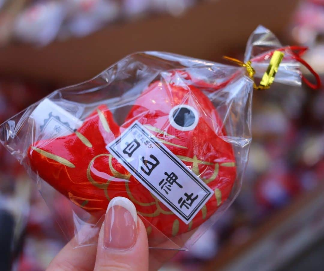 西潟茉莉奈さんのインスタグラム写真 - (西潟茉莉奈Instagram)「. . 今年の初詣は白山神社へ⛩ 方角を調べてお参りに行ったのは初めて😳！ . おみくじの結果は「吉」でした！ . . #新潟　#白山神社  #canoneoskissx10i #カメラ女子」1月23日 17時53分 - marina_1016.n