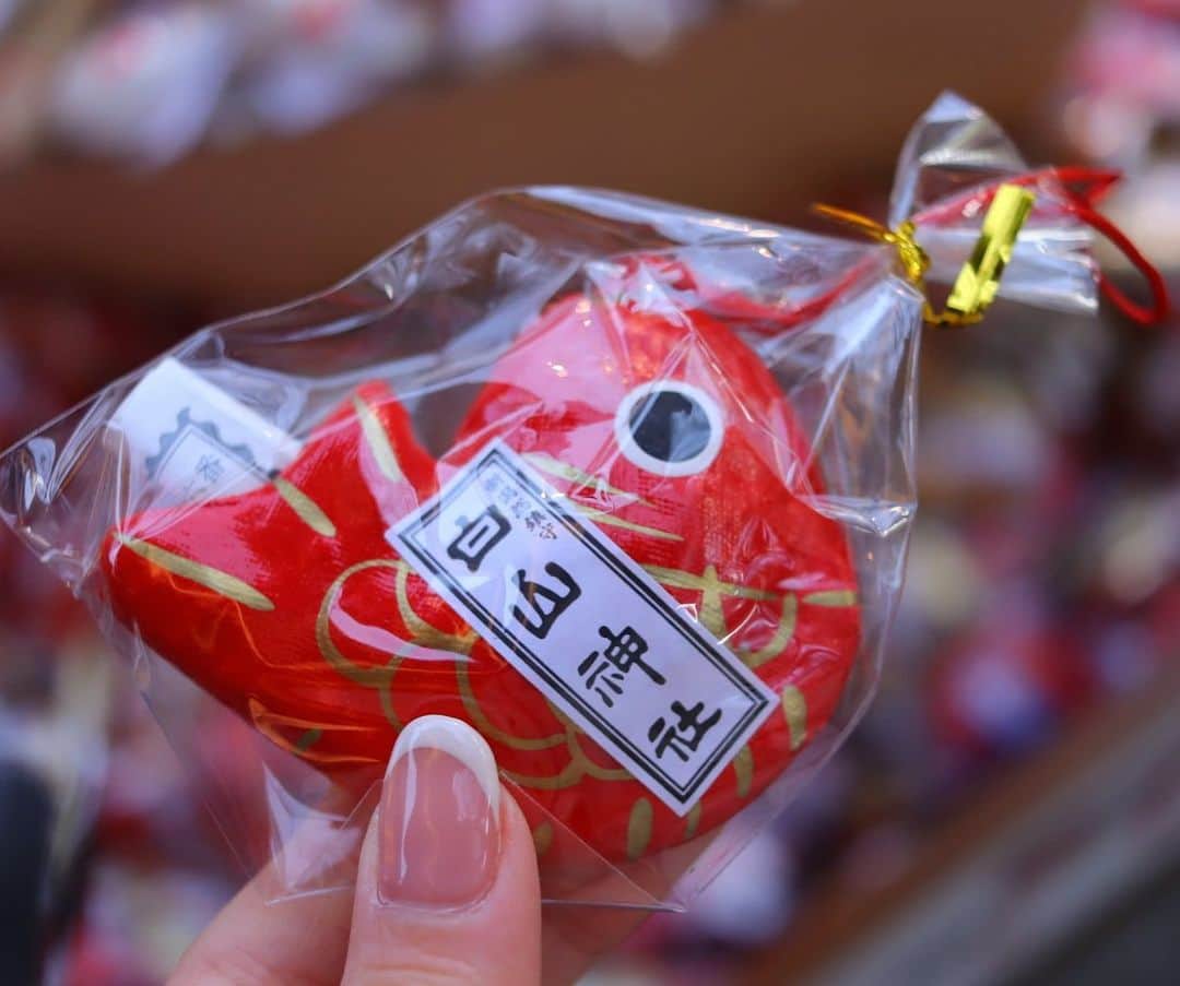 のインスタグラム：「. . 今年の初詣は白山神社へ⛩ 方角を調べてお参りに行ったのは初めて😳！ . おみくじの結果は「吉」でした！ . . #新潟　#白山神社  #canoneoskissx10i #カメラ女子」