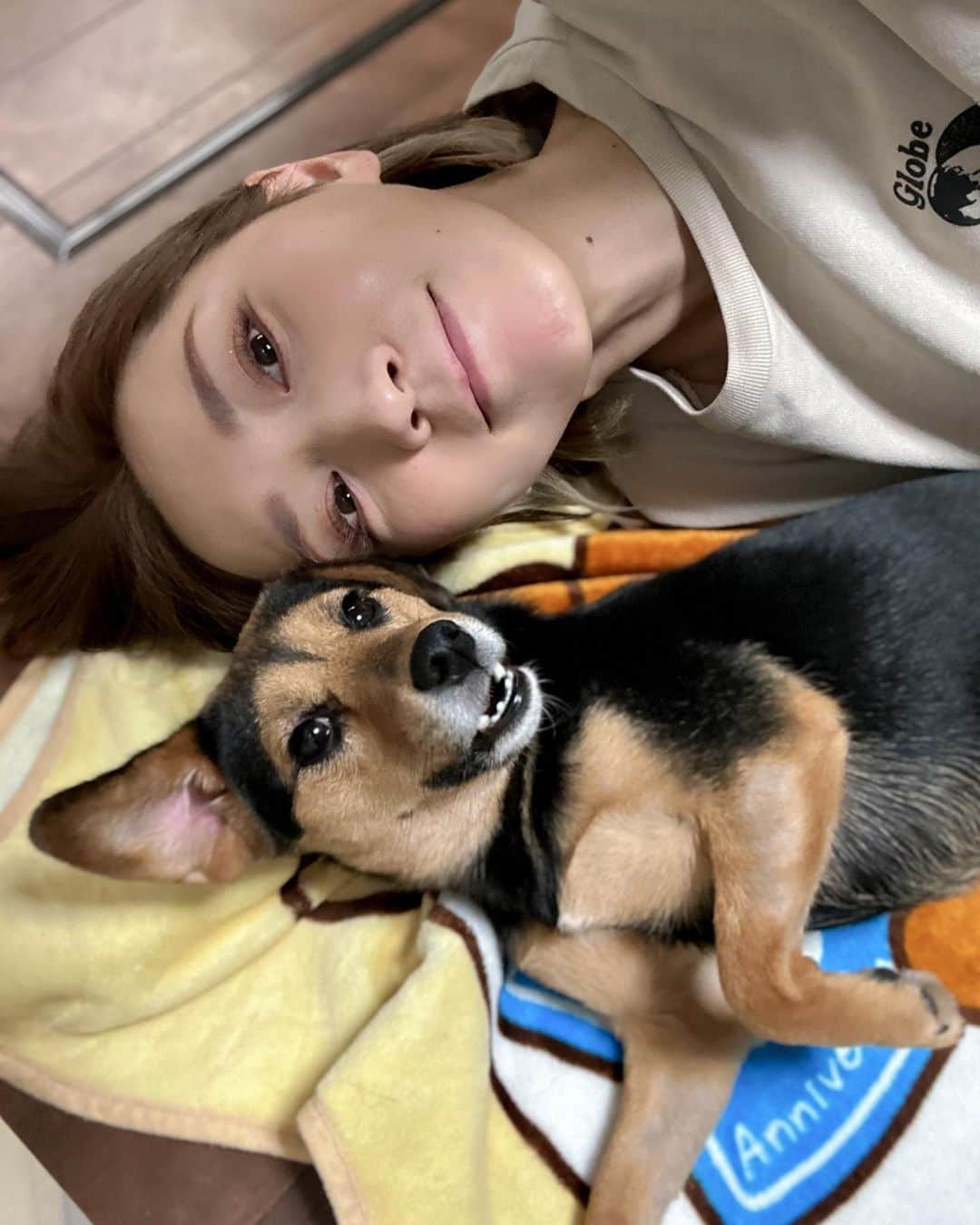 水村リアのインスタグラム：「🐕💛 ⁡ ⁡ 週末ぐらいしかゆっくり小夏🐕に会えないので しつこいぐらい絡みにいきます🤪 ちなみにこのあと顔を攻撃されました👊 それでもへこたれない飼い主です🙋‍♀️ ⁡ ⁡ ⁡ 年が明けてから時間が過ぎるのが早い😳 新しい環境に慣れるのに一生懸命だからでしょうか。。。 今年からSUPER FORMULAを運営する 日本レースプロモーションの一員として 迎えて頂くことになりました。 今までMCやレポーターとしてお世話になっていましたが、 新たな専門分野での活動になります😌 ⁡ 今までなんとなく自己流でやってきたことを プロフェッショナルにやってきた方たちがいて もうそれは尊敬することばかりでして… 学ぶことばかりのすごく嬉しい環境😊✨ とてもポンコツなので、 少しでも早く力になれるように精進します🥹 ⁡ ⁡ ⁡ ꙳𓐍𓈒𓂂。𓏸꙳⋆ ꙳𓐍𓈒𓂂。𓏸꙳⋆ ꙳𓐍𓈒𓂂。𓏸꙳⋆ ꙳𓐍𓈒𓂂。𓏸꙳⋆ ⁡ #🐕 #2023 #モータースポーツ #新入社員 ⁡ ⁡ ⁡」