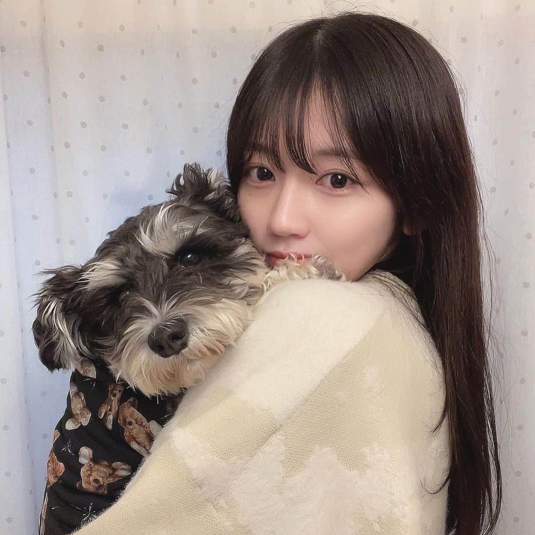 早見紗英のインスタグラム：「ちょっと遅れてお正月休みをいただいたので実家に帰省😊 やっぱり実家は落ち着く✨  先日いただいた服をジジに着てもらいました🐶 ドッグウェアセレクトショップ『ONE MILE』さん（@onemile_dog_official ）のお洋服💕クマの総柄が可愛い🧸  #ドッグウェア #犬服  #シュナウザー #しゅなすたぐらむ」