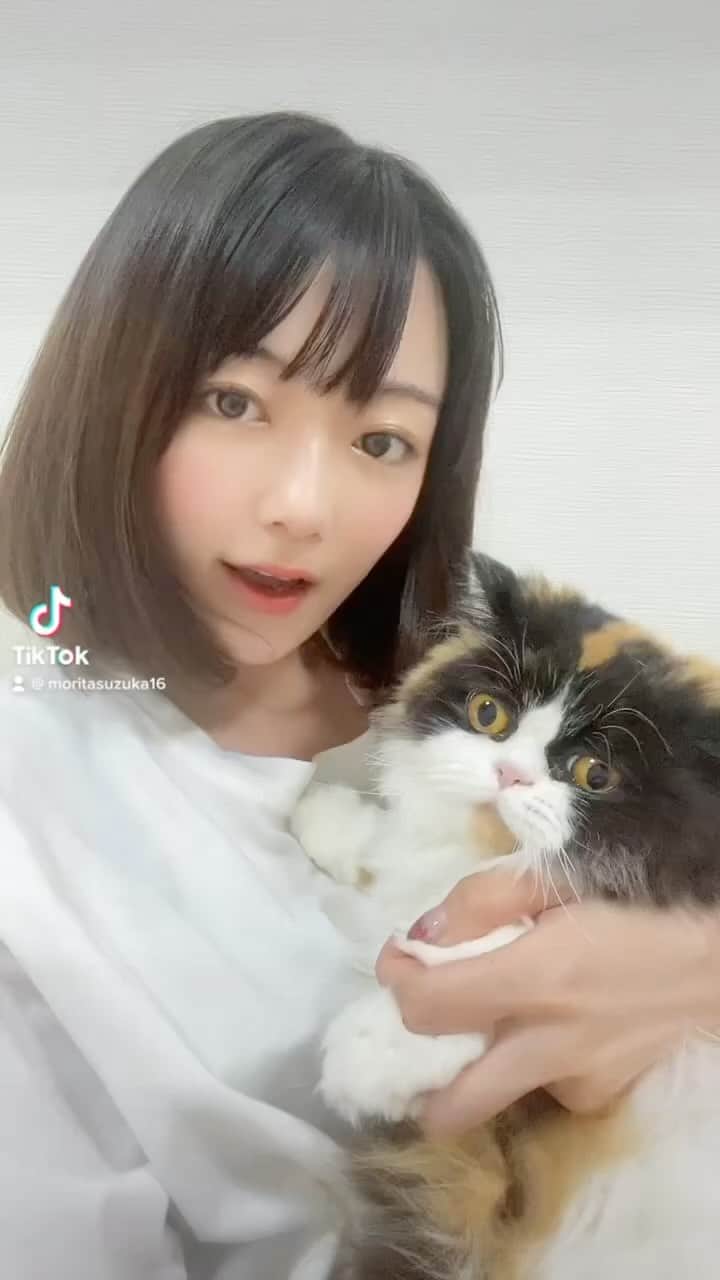 森田涼花のインスタグラム：「‍『アテレコダイアリー』後編公開🐾」