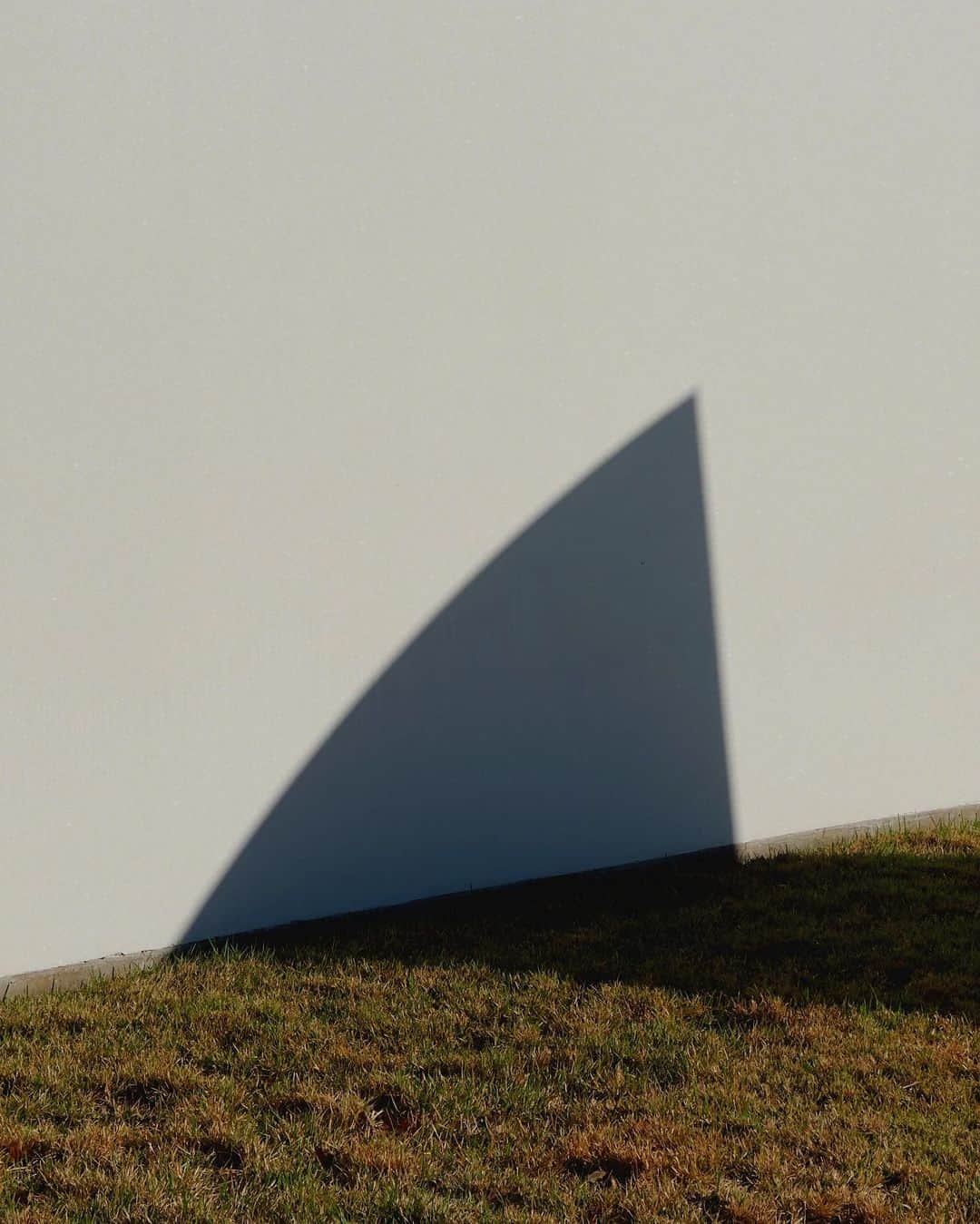 アリス・ガオのインスタグラム：「too much beauty to cull down at the menil drawing institute 😭.  #shotoniphone」