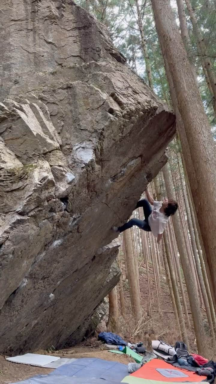 野村真一郎のインスタグラム：「龍の峰 V13/14✔️ 2023.01.22 FA @daisukeichimiya   このラインはカンテにニーバーするムーブが発見され、それだと公表グレードのV13/14から大きくずれて体感はV12くらいだそう。 それを聞いて、僕はいつも通り初登で感じた強度を体感したいと感じたし、やっぱり自分の中では真っ向で力全開で勝負してるクライマーを見るのが最も痺れる瞬間なので、僕はニーバー無しの真っ向勝負で登った。 結果、このラインは自分のタイプに合いすぎてたのかバラし含め4トライで登ることが出来た。体感グレードはV13あたりなのかなと感じた。 まあそんなことよりとにかくかっこいいし、めちゃくちゃ良いラインを登れたから嬉しかった。  最近、グレード問題は本当に難しいと感じる。 初登者側の視点ではそのラインはプロジェクトなので、可能性があるかどうかも分からず威圧感を感じ難しく感じてしまう事が多い。 再登者側の視点では、既に作品であり最低限人間にとって可能である事を理解しているので後は自分のポテンシャルを引き出すだけ。 その違いはかなり大きい。誤差がうまれてしまうのはしょうがない。違うムーブが出てしまったら尚更。  クライミングは、自分の限界を押し上げてくれそうな課題を自分で見つけて選んで挑戦し、それを自力で乗り越えた時に初めて本当の嬉しさや感動を知る。グレードに囚われすぎるとこれは一生体感出来ない。 自分の最高グレードに近いが明らかに自分の体感だと優しめな課題が登れた時、そのグレードを登った事自体の喜びはあるがそれは一瞬で、本当の嬉しさは無い。 僕はとにかくこれからも自分の限界を押し上げていきたいし、かっこいいと思うスタイルを追求していきたい。そして、ムーブの選択もこだわりたい。 今の僕にとってのそれが正にフローティン。まじでかっけぇあのライン、、、  そして岩登りにおいて何より大切なのは、ラインに可能性を見出した初登者への敬意と、開拓者の方々への感謝。 全ての尽力のおかげで、かっこいい岩を登る機会を今回も頂きました。 ありがとうございました！  📸: @naoki__shimatani @rokdo_team @montura_official @monturajapan @unparallelup @rockmasterhq_caravan @frictionlabs @project_daihold @clover_resole @hamasakichiryoin0929」