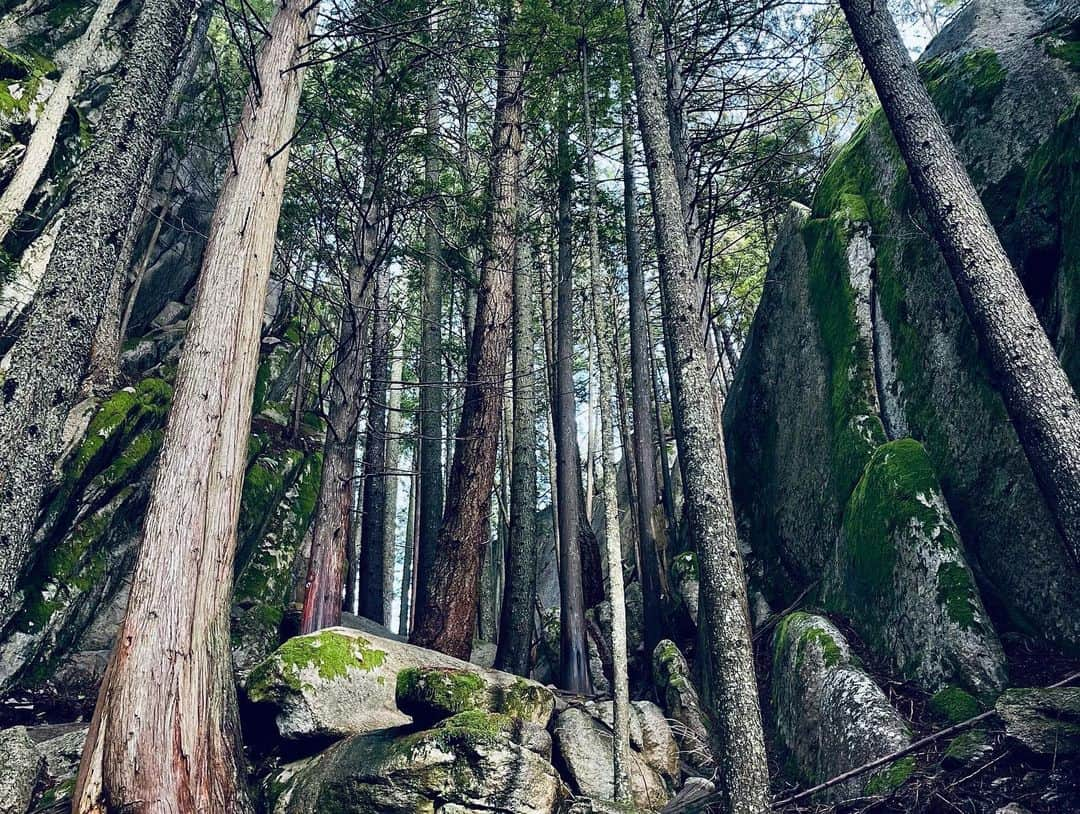 ソフィー・シュミットさんのインスタグラム写真 - (ソフィー・シュミットInstagram)「Snuck one final hike in before pre-season starts. … Thankful for the little time I had back at ‘home’. *Highlight was meeting the newest nephew for the first time. 🥰」1月24日 11時42分 - sophieschmidt13