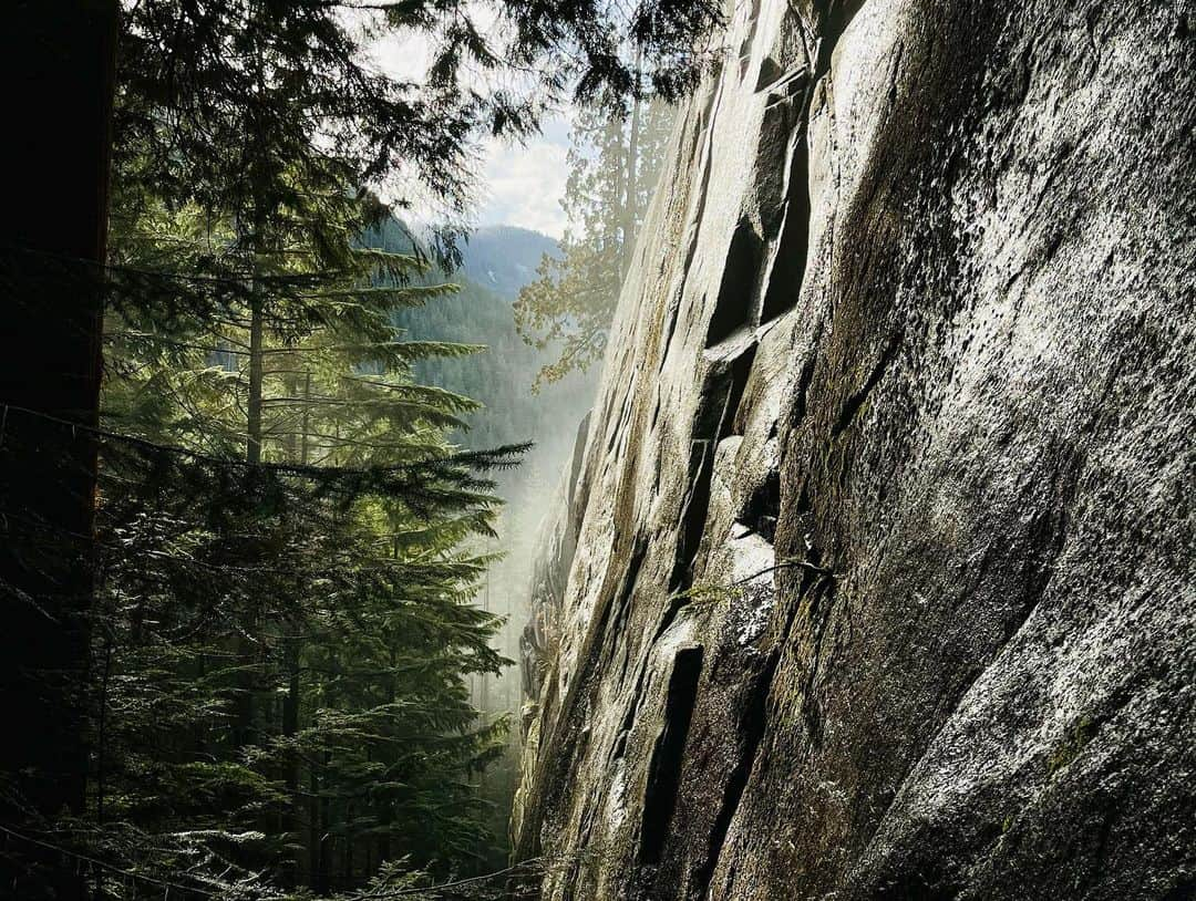 ソフィー・シュミットさんのインスタグラム写真 - (ソフィー・シュミットInstagram)「Snuck one final hike in before pre-season starts. … Thankful for the little time I had back at ‘home’. *Highlight was meeting the newest nephew for the first time. 🥰」1月24日 11時42分 - sophieschmidt13