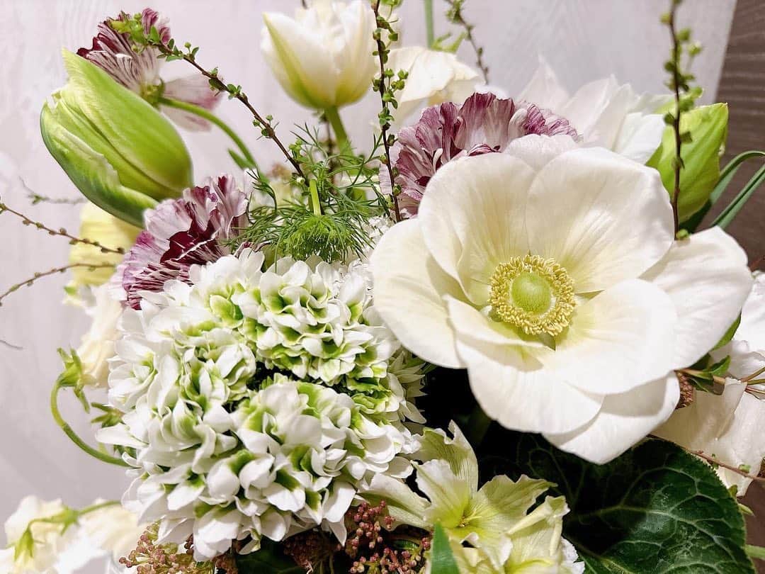 小菅晴香のインスタグラム：「・ さんむいですね〜☃️  春のお花たちを眺めながら、 心だけは春気分🌷 ⁡ ⁡ ⁡ #flowerarrangement #アネモネ #チューリップ #スイートピー #カーネーション #レースフラワー」