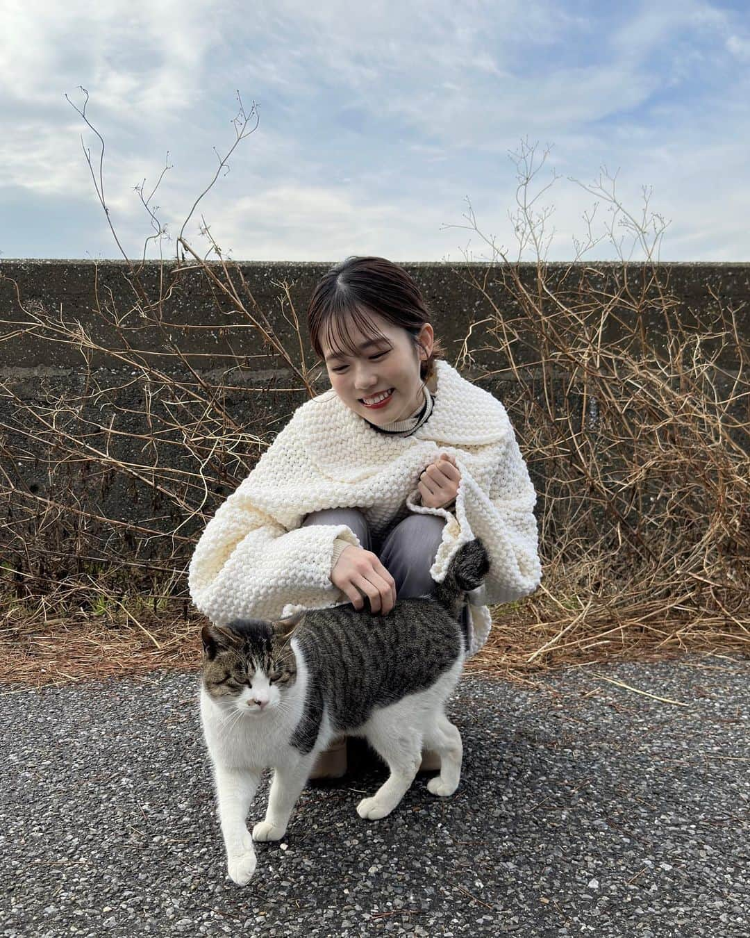 川口葵さんのインスタグラム写真 - (川口葵Instagram)「.  撮影中に出会った猫ちゃん🐈🐈‍⬛  #猫とあおい」1月24日 13時47分 - kawaguchiaoi_1126