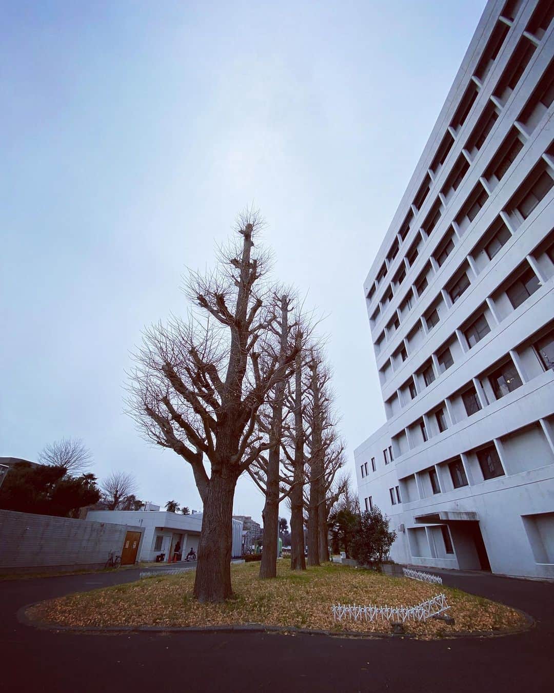 村瀬健さんのインスタグラム写真 - (村瀬健Instagram)「病院に通う日々が続いています。まずは一日も早く「病み上がり」になることを目指して頑張ります。」1月24日 16時09分 - kenmurase