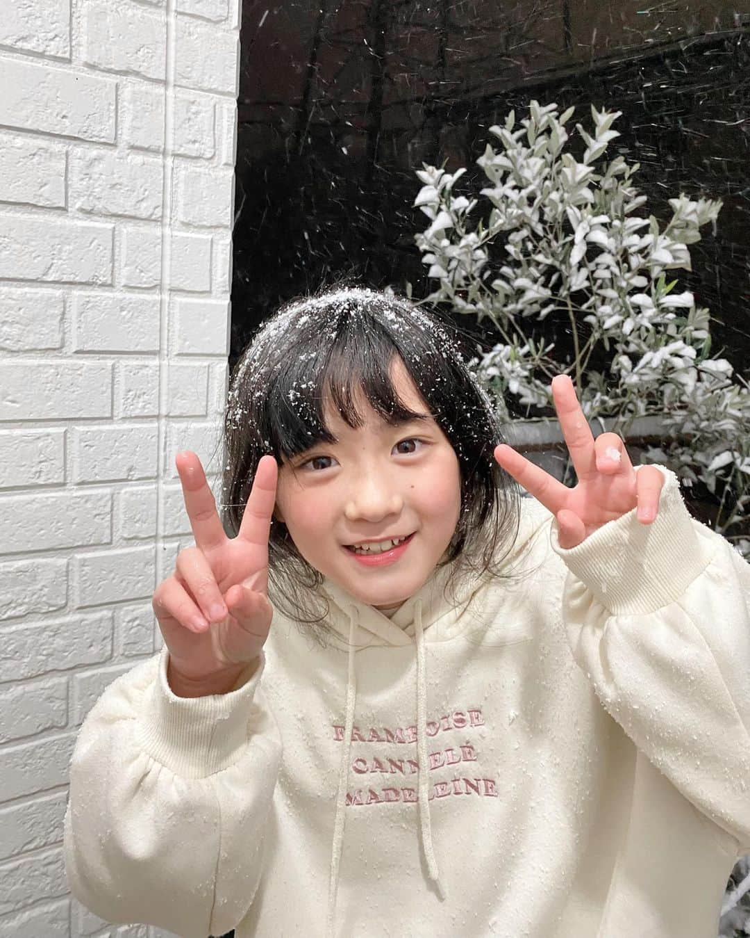 *yoko*さんのインスタグラム写真 - (*yoko*Instagram)「* ◇2023.1.24  雪すごーーー！ 明日の朝まで待てず夜の雪遊び⛄️❄️  こむは思いっきり雪に顔突っ込んで遊んでた😂  #雪#10年に一度#寒波」1月24日 22時18分 - yococono