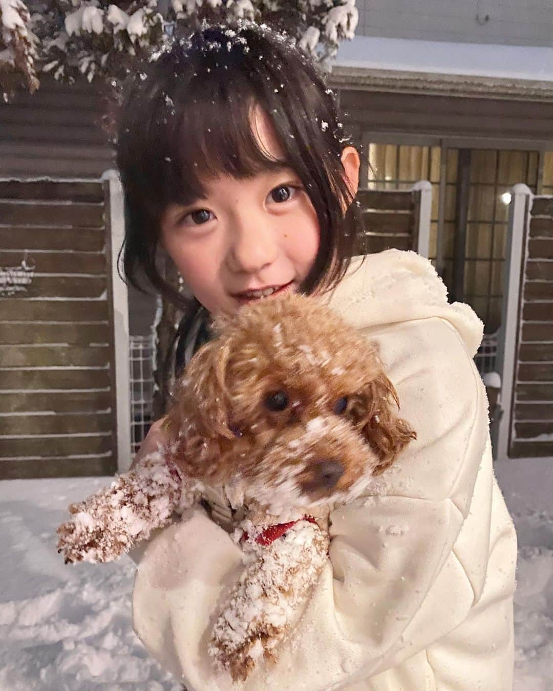 *yoko*さんのインスタグラム写真 - (*yoko*Instagram)「* ◇2023.1.24  雪すごーーー！ 明日の朝まで待てず夜の雪遊び⛄️❄️  こむは思いっきり雪に顔突っ込んで遊んでた😂  #雪#10年に一度#寒波」1月24日 22時18分 - yococono