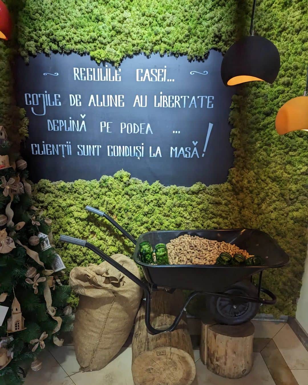 チェリー吉武のインスタグラム：「Romanian restaurant All-you-can-eat peanuts for free! Throw away the shell! Is this a Romanian custom?🥜  ルーマニアに着きレストランへ 何故かお通しがピーナッツ！ それも無料で食べ放題！ 殻も床に捨てるシステム🥜 これがルーマニアスタイルなんだろう？」