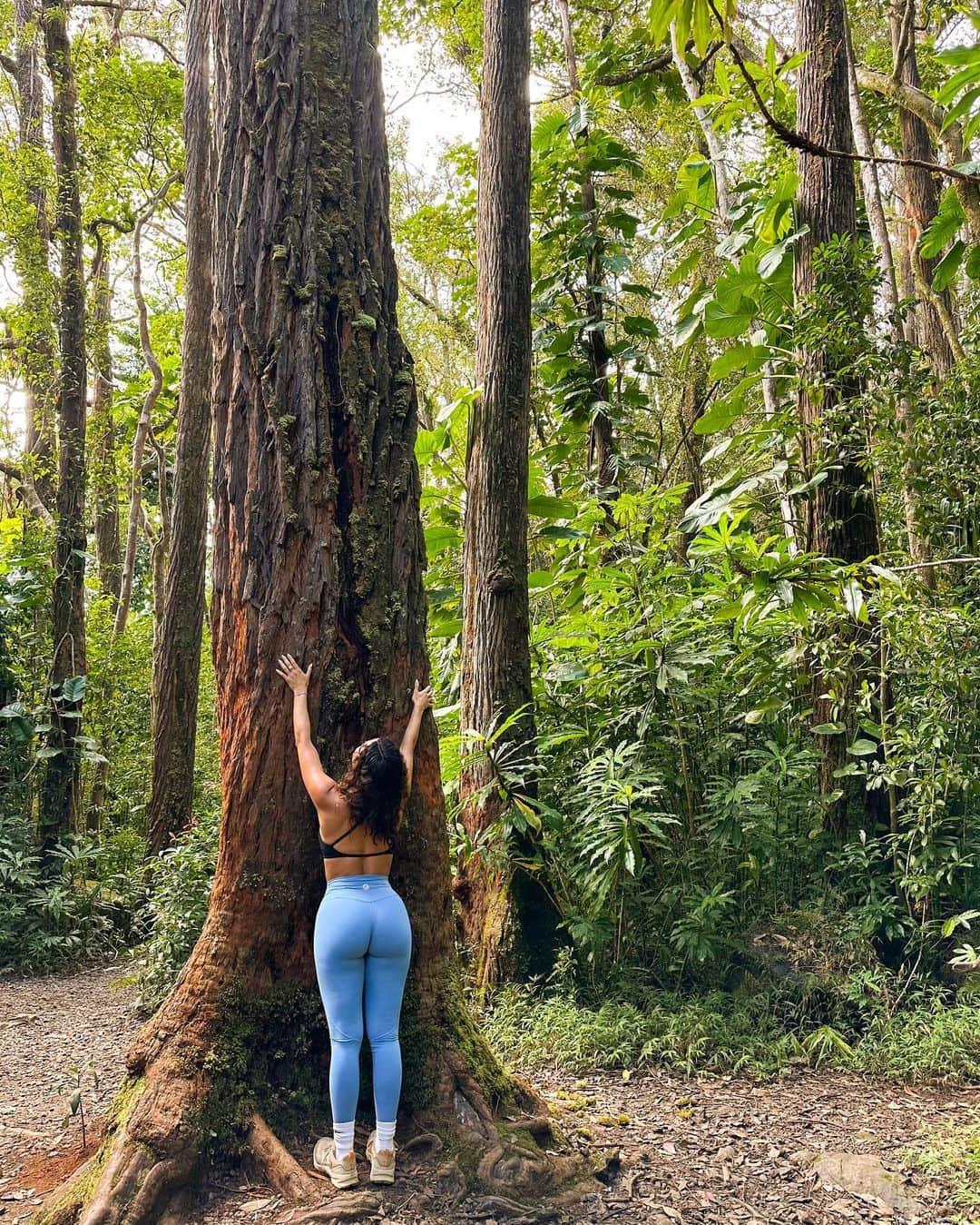 アナ・チエリのインスタグラム：「Hiking 🥾 Hugging Trees 🌲 and getting sunshine 🌞」