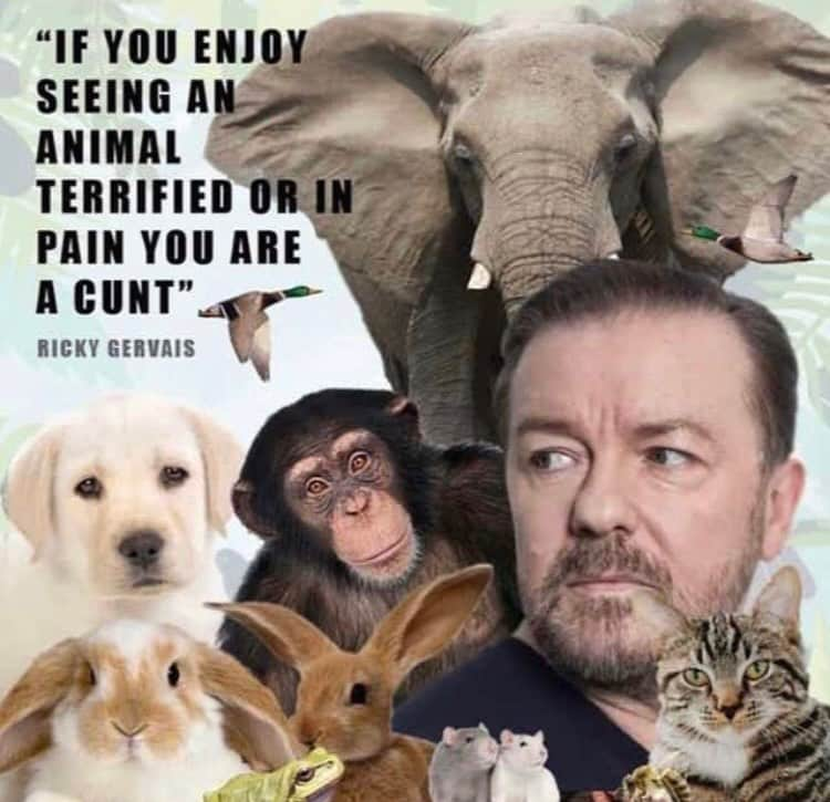 リッキー・ジャーヴェイスさんのインスタグラム写真 - (リッキー・ジャーヴェイスInstagram)1月25日 3時25分 - rickygervais