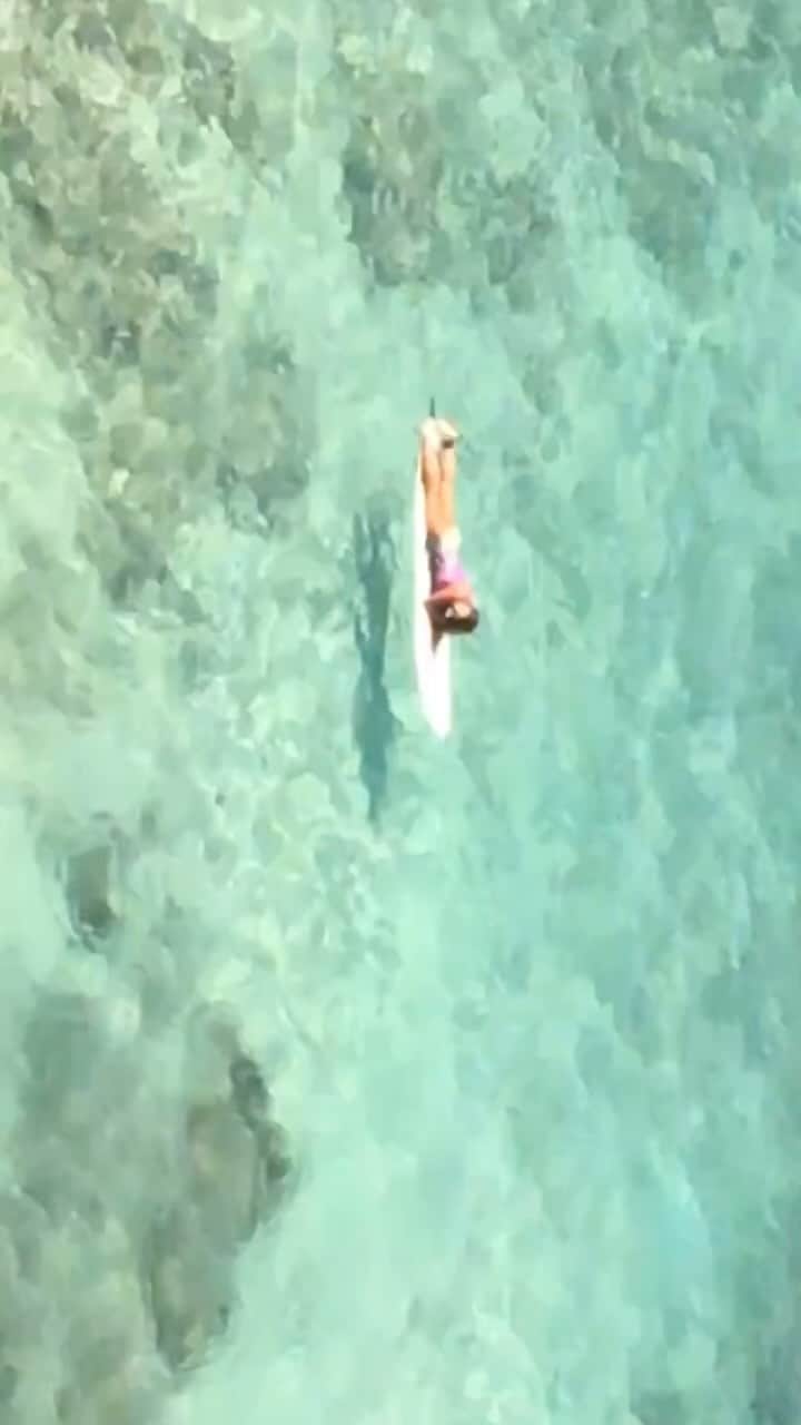 永瀬沙世のインスタグラム：「𓆉」