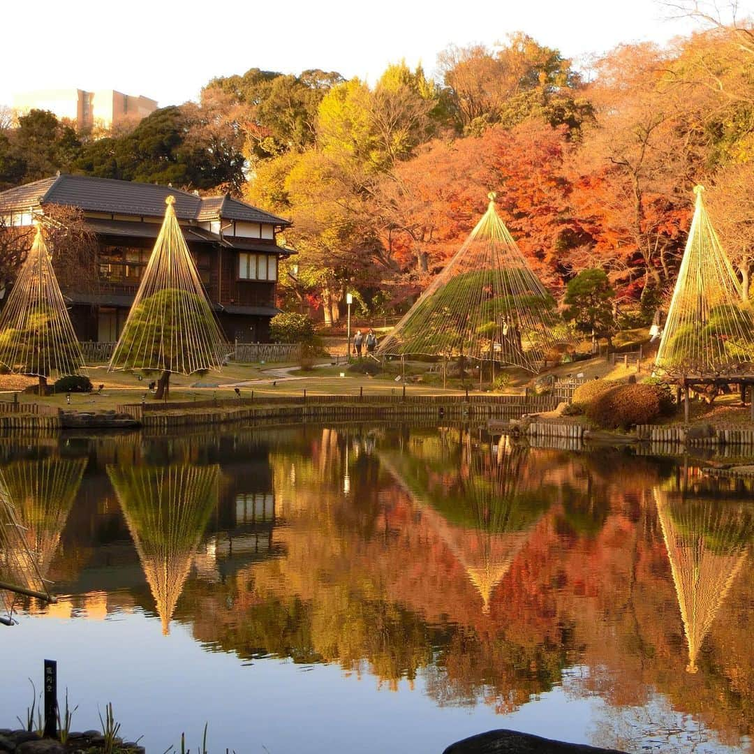 細川茂樹のインスタグラム