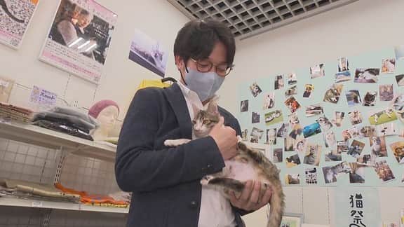 堀内大輝さんのインスタグラム写真 - (堀内大輝Instagram)「.  🐈  2月22日は猫の日だったので ネコと戯れて参りました  #猫の日 #ねこの日 #にゃんにゃんにゃんの日 #保護猫  #🐈  #アナウンサー」2月23日 8時20分 - hbc_daikihoriuchi