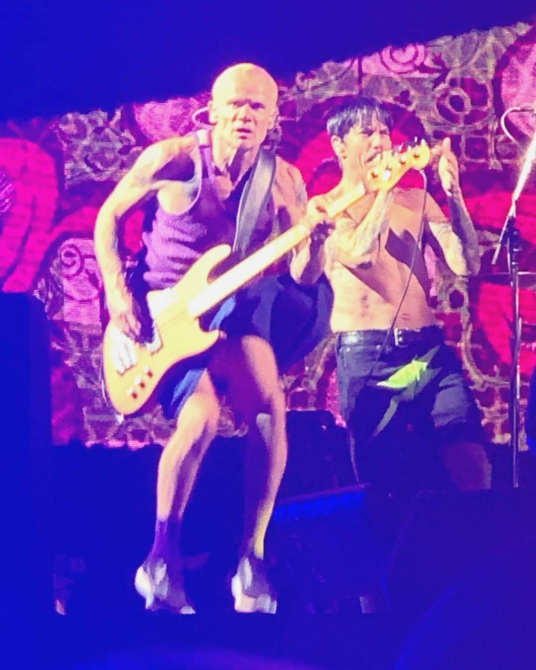 kikkoさんのインスタグラム写真 - (kikkoInstagram)「興奮しまくりの一日🔥🔥🔥 @flea333 は、本当に優しくって可愛くってカッコいい❣️ ステージも、最高でした❣️  @luckmc special thanks❤️」2月22日 23時57分 - kikko_