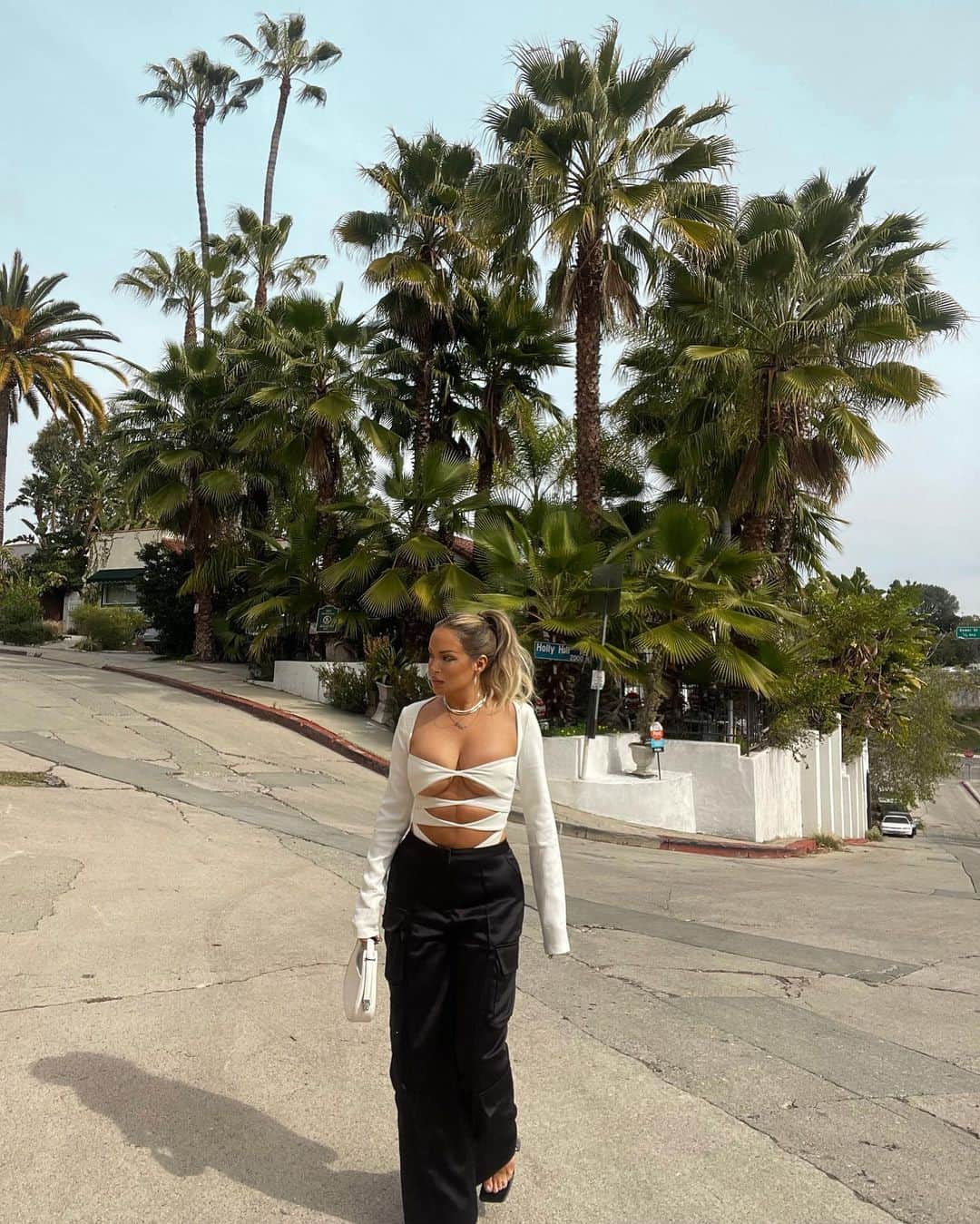 ファニー・リックマンのインスタグラム：「Real life dream 🌴 @houseofcb」