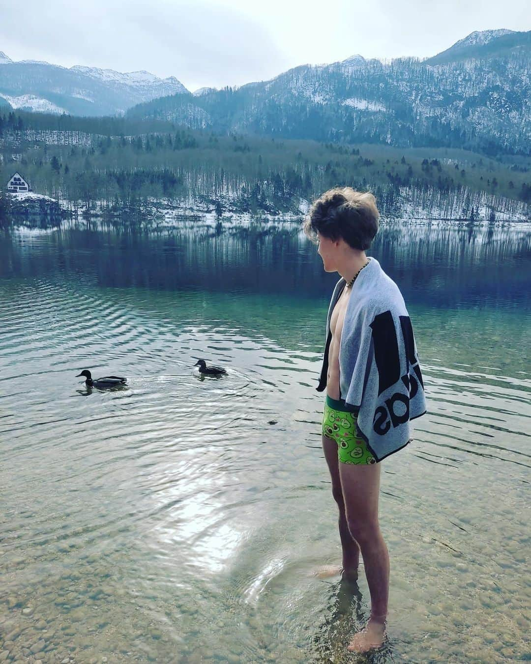 ドメン・スコフィッチさんのインスタグラム写真 - (ドメン・スコフィッチInstagram)「Chillin with my ducks 🦆😎 . #spontanka #duck #winterwonderland」2月23日 5時22分 - domen_skofic