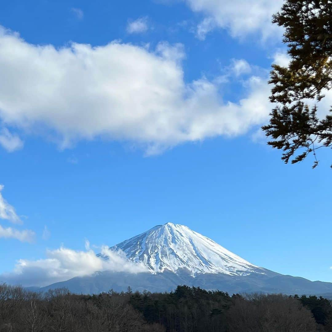 岡田美里さんのインスタグラム写真 - (岡田美里Instagram)「今日は富士山の日 (2/23)  ふじさん って呼ぶと誰かみたい。 ふじさんいつもありがとう。 皆んなの富士山 ありがとう。  これは昨日の富士山@鳴沢村 鳴沢村には「いきいき広場」という巨大な芝生広場がありまして、それはそれは美しく整備されいつも芝生が綺麗で素晴らしいのですが、 表通りの国道からは見えないのでいつもほぼ誰もいません。  公共の駐車場もありますので富士山を裾まできれいに見たい方はぜひ。  鳴沢村は富士山の裾野にありますので「富士山にある村」です。富士山の魅力は遠くから見るだけでなく、その山裾野の里山というよりも原生林(樹海ではないもう少し標高の高いあたり)が素晴らしいのです。 スキー場もここから10分ですしウォーキングスポットもたくさんあります。キャンプ場もたくさんあります。最近はグランピング場が建設ラッシュです。新緑の頃にぜひいらしてください。 バス🚌でしたら河口湖駅から本栖湖行きに乗って「鳴沢道の駅」で降りてくださいね。地元産のお土産やお野菜もたくさん買えます。富士山地下水も汲めます。  #富士山 #富士山の日  #富士山の見える風景  #鳴沢村からの富士山  #鳴沢いきいき広場  #mtfuji」2月23日 6時42分 - millieokada