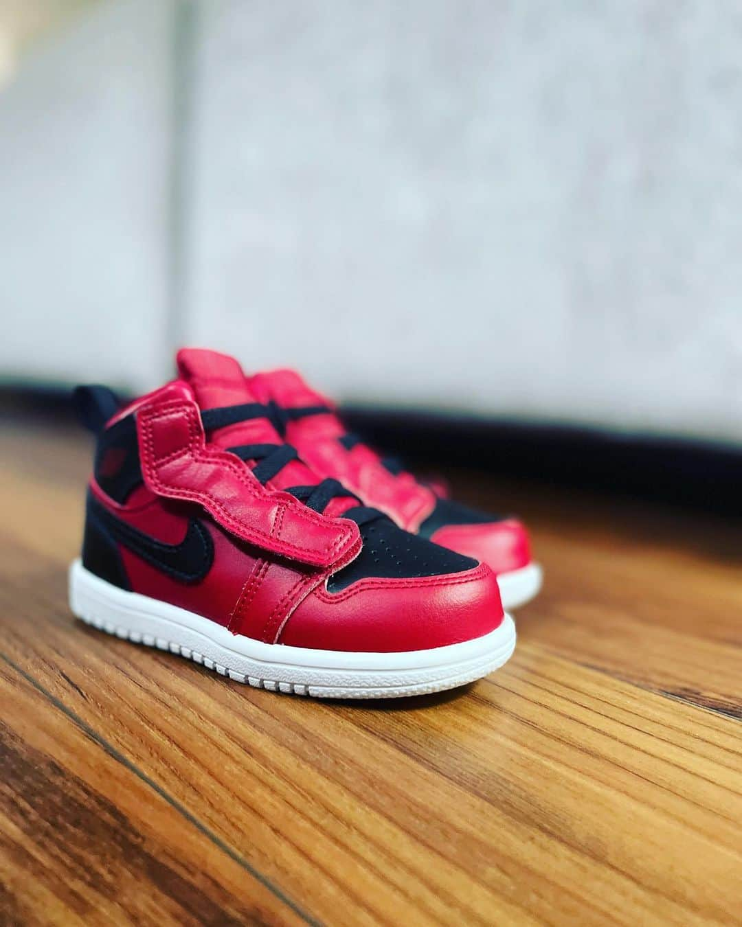 イモトアヤコさんのインスタグラム写真 - (イモトアヤコInstagram)「・ 頂いた #ジョーダン1  #jordan1 #14センチ #桜木花道 かっちょいい」2月19日 11時00分 - imotodesse