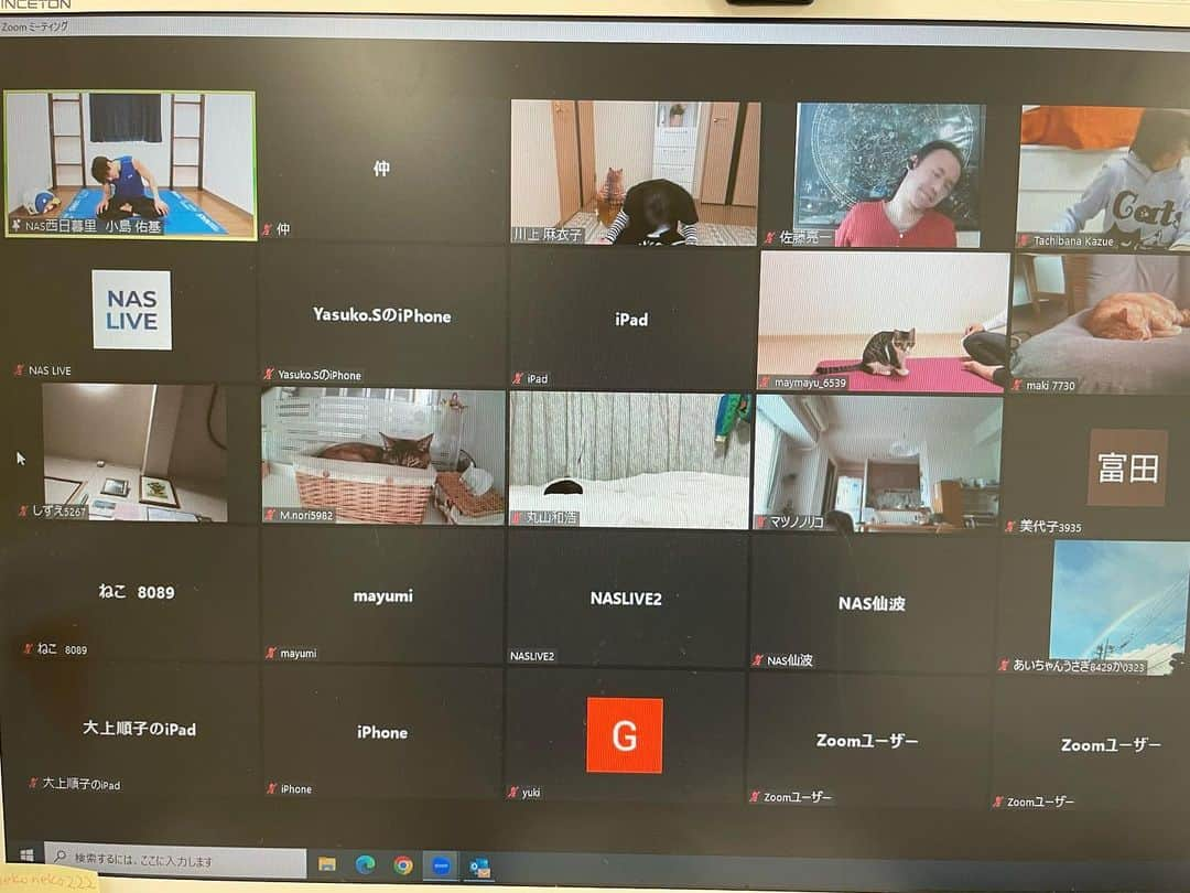 川上麻衣子さんのインスタグラム写真 - (川上麻衣子Instagram)「川上麻衣子の「キャットアカデミー」でもお世話になっている獣医師の佐藤亮一先生も参加して下さって、現在『猫に見られてストレッチ』開催中。  ≪無料≫★第6回 猫好き集まれ！〜ネコに見られてストレッチ～ Zoomミーティングに参加する　zoom.us/j/93035305350 ミーティングID: 930 3530 5350」2月19日 11時32分 - neko_to_kyo