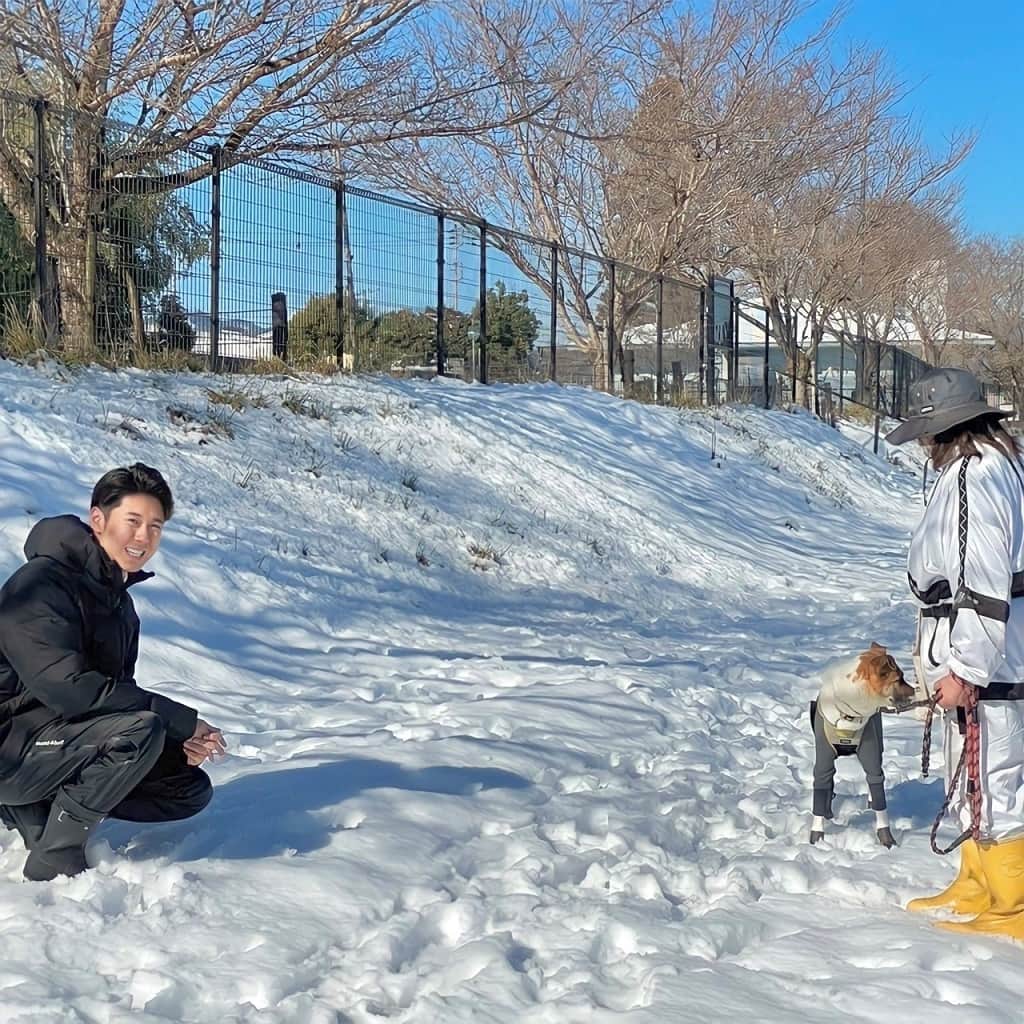 テレビ朝日アナウンサー公式さんのインスタグラム写真 - (テレビ朝日アナウンサー公式Instagram)「このあと、あさ5時50分からは #サンデーライブ 「先日、雪取材中に可愛い犬と出会いました。 撥水スーツ&ブーツを履いて雪対策もバッチリ。 あまりの可愛さに思わずニヤけてしまいました。#駒見直音」」2月19日 5時00分 - tvasahi_announcers