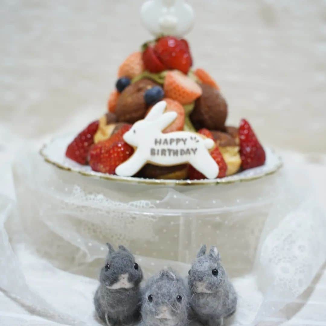 MaRi.Kのインスタグラム：「今日はルーさんのお誕生日。 ルーさんとさっちゃんが13年前の今日産まれました。  先週、ひと足早くラビトリーのルーさんにお祝いのいちごをお供えにいきました。  ランくんと3日違いだから、 一緒にお祝いしようね。」