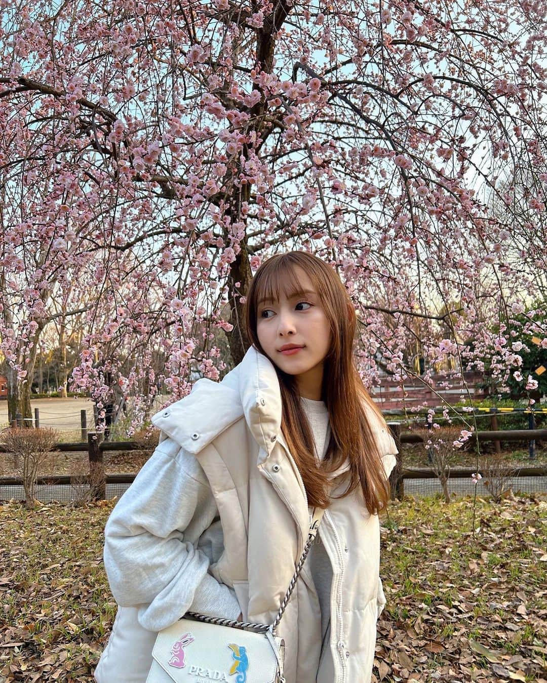 與儀ケイラさんのインスタグラム写真 - (與儀ケイラInstagram)「梅の木だと思ったら桜だった😳🌸  昨日も今日もお昼ポカポカで最高やなぁ☀️ 明日はどうなんだろう？でも花粉がきてる…👶」2月19日 19時50分 - keila_1018