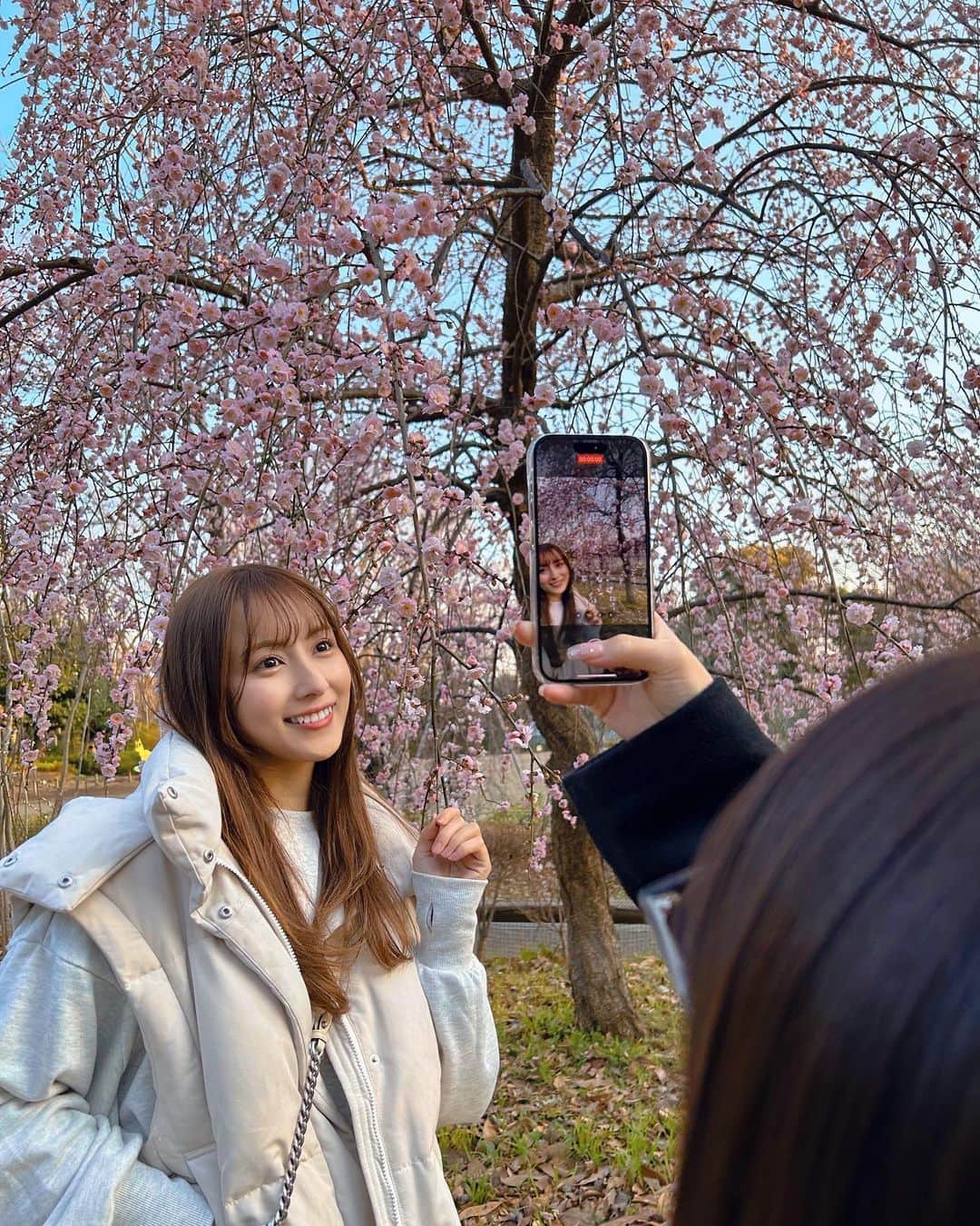 與儀ケイラのインスタグラム：「梅の木だと思ったら桜だった😳🌸  昨日も今日もお昼ポカポカで最高やなぁ☀️ 明日はどうなんだろう？でも花粉がきてる…👶」