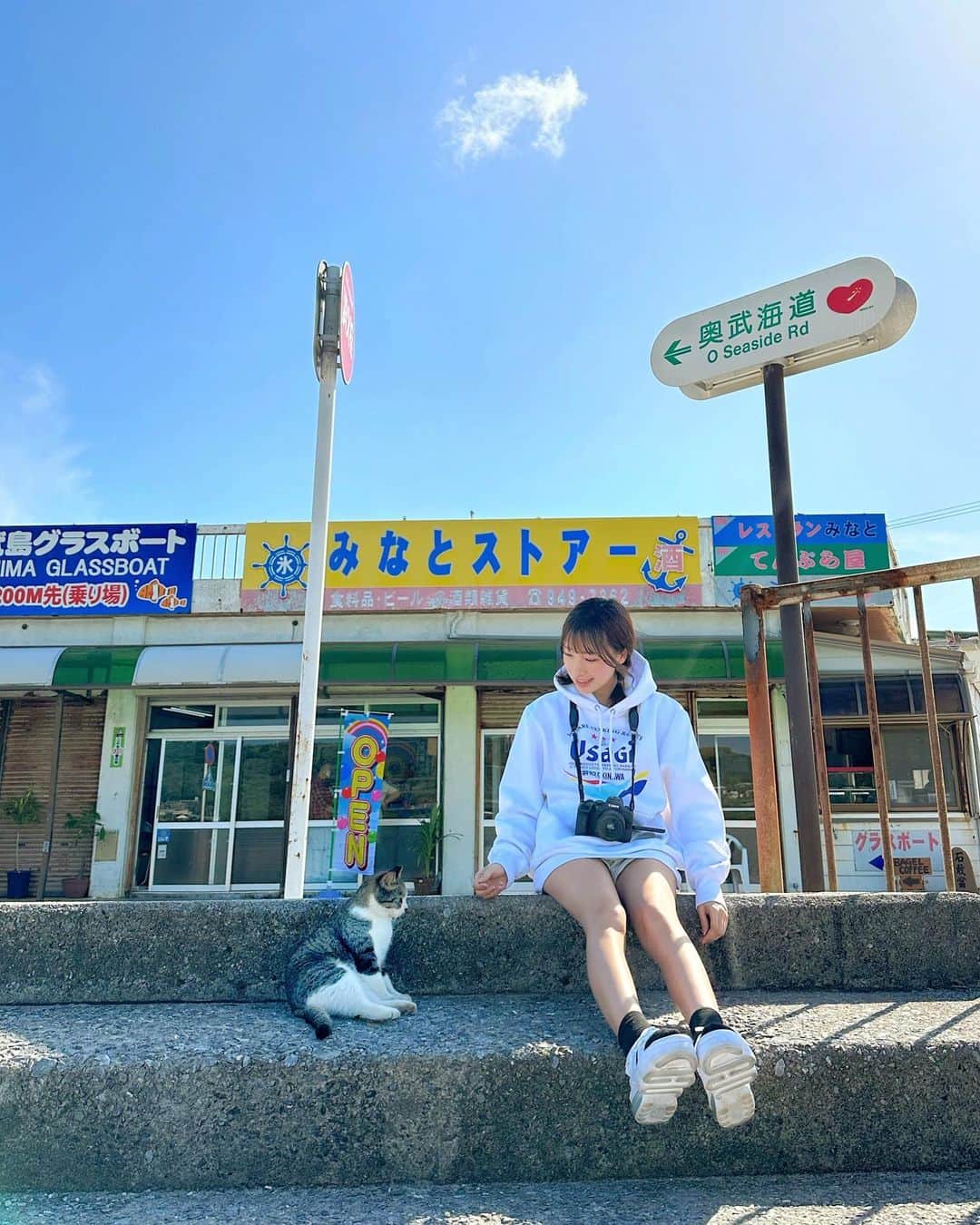 日比ゆりのインスタグラム：「✩  ねこの島🐈🐾  .」