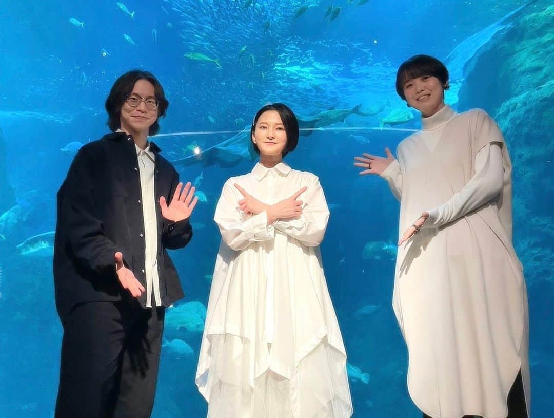 石垣優さんのインスタグラム写真 - (石垣優Instagram)「改めて… #新江ノ島水族館 LIVE・#えのすいフライデーナイト 平日のお忙しい中、足を運んでくださった皆さん 本当にありがとうございました😭💓 県をまたぎ…新幹線や夜行バスで何時間もかけ 泊まりがけで足を運んでくださった方々も方も… 感謝感謝です😭😭　そして、 #えのすい のスタッフの皆さん、チームのスタッフの皆さん ありがとうございました🙇🏻‍♀️💓 . LIVEしてみたい場所の一つであった水族館 今回それが実現するという事で、 やってみたい事もたくさん入れてみました。 . この日一回限りしか流れないSE(オープニング曲)を作りたい、リクエストやりたい、サプライズプレゼントコーナーやりたい、クイズもやりたい、撮影OKもやりたい…等々 色々盛り込んで…反省をしつつ、次に繋げます！ . 水族館内で流れていたプレイリストも 計12曲を普段聞いてる楽曲から選曲しました！ 各エリアの空間をイメージして選んでみましたよ🫧☺️ ペンギンやアザラシのエリアでは、 この日支えてくださった ピアノ #諸見里修 さんの楽曲／モロミカン「片時雨」 コーラス #今井里歩 さんの楽曲／「新しいキセツ-ミチ-」の2曲も流させて頂きましたよ❤︎* . セットリストに関しては… 今回前もってSNSでリクエストもいただきました。 「やな楽曲＆やな時代に歌っていた未発表曲の中から…」 リクエストを頂いたのですが、 今回上位曲が王道な楽曲が揃ったので やな時代から今の #石垣優 までの流れをザッと感じつつ 海の雰囲気に似合うcover曲も織り交ぜてみました🦭 . 月ぬ美しゃ ~えのすい専用オープニング曲~ 月明かり 青い宝 いちごいちえ 空をこえて海をこえて 君がいるから ゆくい たまゆらの祈り over the rainbow 渚 波乗りジョニー 光はココニ あなたが変えた今日 花ひら 未来へ ーー 拝啓◯◯さん つよがり . 楽しんでいただけていたら…いいなぁ🙇🏻‍♀️ まだLIVEをしたい場所もあるし 自分のスタイルも見つけていきたい 新曲も増やしてLIVEに彩りを加えたい まだ書きたい事はあるけど、とにかく頑張る🫡 . 是非、LIVEに足を運んで頂けると…前に進めます！ これからもよろしくお願いします！ ありがとうございます！ . @yuki.ando.37 さん、美しいお花を… ありがとうございました💐 いつも美しい青の世界を感じるインスタ見てます🙇🏻‍♀️」2月19日 12時30分 - yanawaraba_ishigakiyu