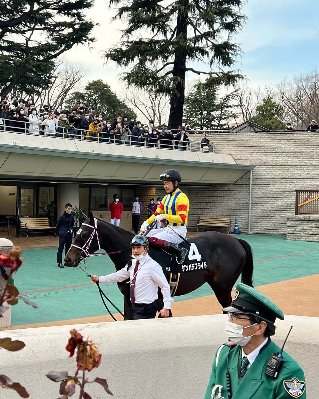 erinaさんのインスタグラム写真 - (erinaInstagram)「今年初の東京競馬場は #フェブラリーステークス でした❤️ コロナ前のような歓声に圧倒された🐴  福永騎手日本で最後の騎乗も見れて泣きそうになった🥲 騎手人生お疲れ様でした🥲  なんか投稿が競馬だらけになってきた、 もっと可愛らしい投稿がんばります  #東京競馬場 #フェブラリーs」2月19日 16時46分 - erina_umajo