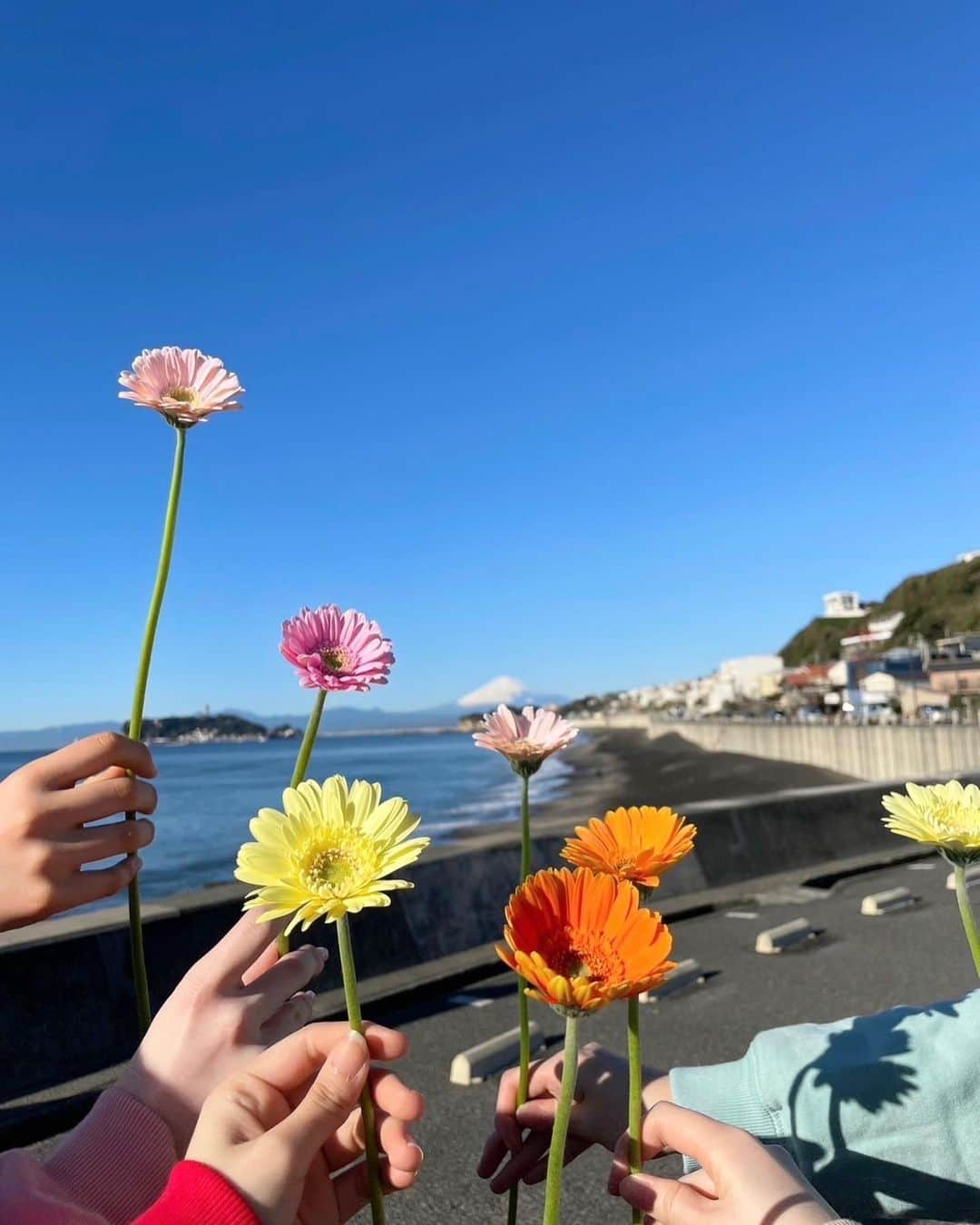 太田雫のインスタグラム：「・ ニコラ3月号 『高一モ卒業前に100質やっちゃうよー！！』のオフショ😽 ・ ・ たくさん笑って、たくさん写真撮って、たくさん話して、とっても楽しい撮影でした！ ・ 誌面でもみてね✨ ・ #ニコラ#太田雫 #nicola#ニコラ3月号発売中#ニコモ#オフショ#06#高一#fjk」