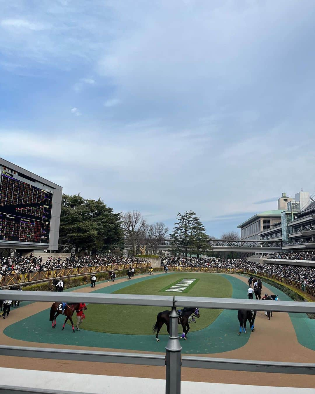 古野みうさんのインスタグラム写真 - (古野みうInstagram)「#東京競馬場！🏇 #フェブラリーステークス で #レモンポップ を軸に買ったのに3連複で外す前の笑顔です！😊😊😊  今日はお昼から12Rまで賭け続けたんだけど、惜しい、当たったかもしれないレースが2〜3あったよ…  東京競馬場すごいよ！！女性専用スポットがあったり、飲食店も豊富だったり、す〜ごく充実してます！！ また絶対行くんだ〜〜〜！！  同じ事務所の #福永祐一 騎手はJRA最後の騎乗でした。本当にお疲れ様でした。ありがとうございました！  大盛り上がりで超楽しかったな〜！ 美しかったです🏇  #フェブラリーs #競馬 #競馬場 #中央競馬 #jra #keiba #日本中央競馬会 #🏇」2月19日 22時47分 - umiushi.mium