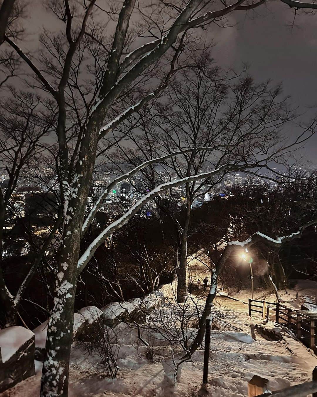 張楚珊さんのインスタグラム写真 - (張楚珊Instagram)「最冷的那天❄️☃️🇰🇷」2月19日 23時53分 - iam33___